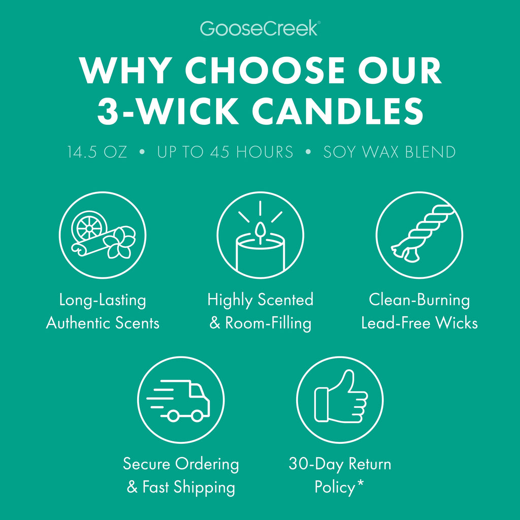 Angry Beavers Nickelodeon 3-Wick Candle