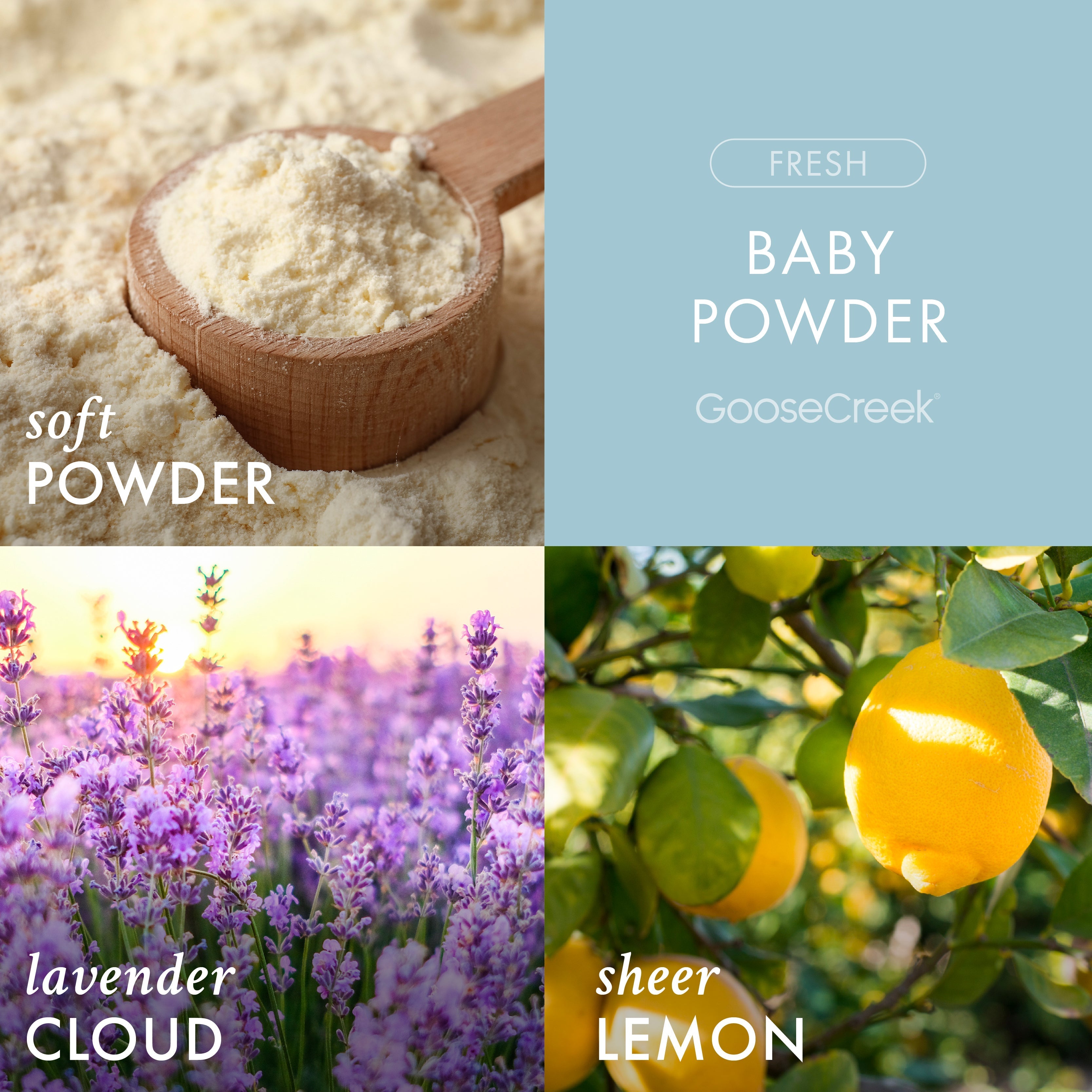 Baby Powder 3-Wick Candle
