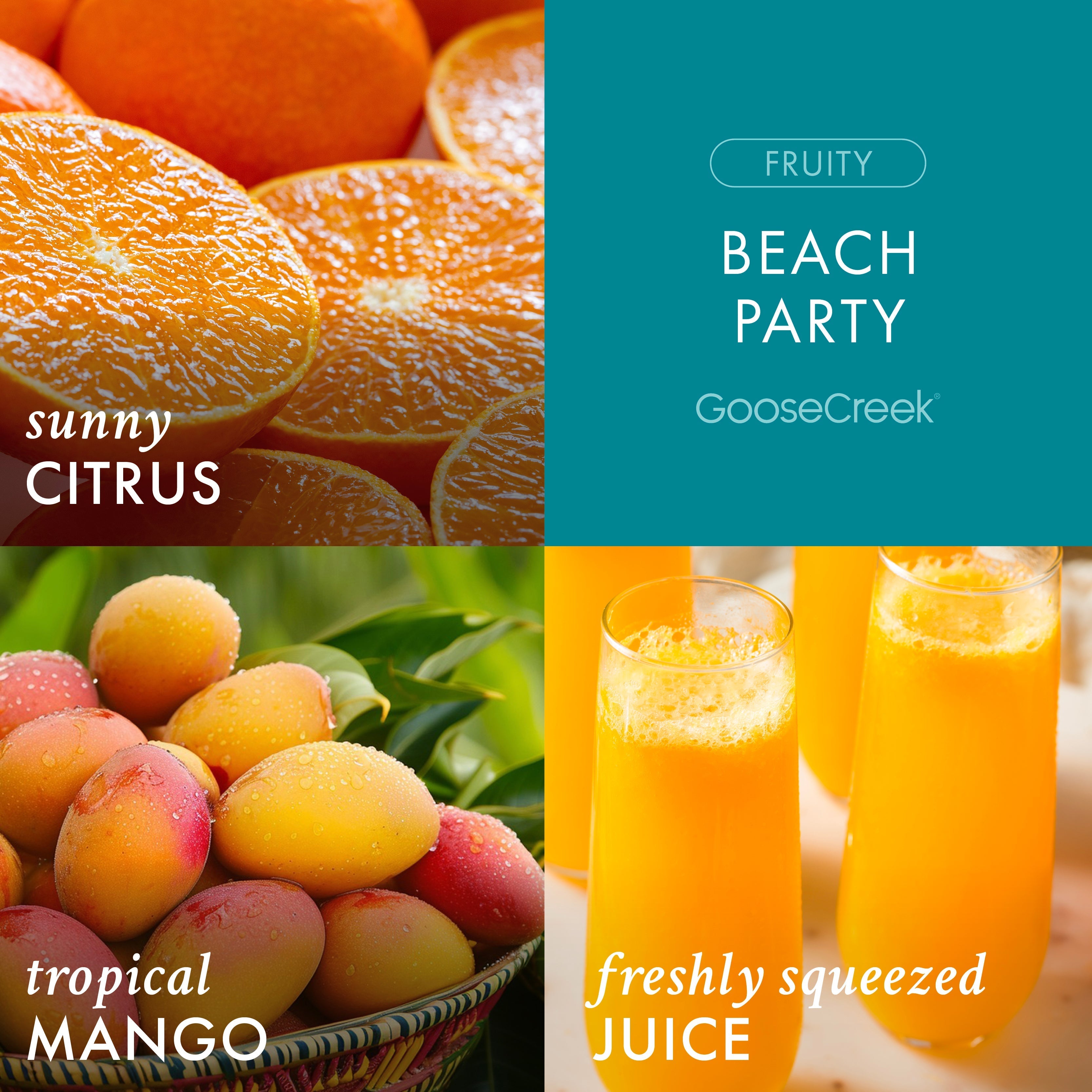 Beach Party 3-Wick Candle