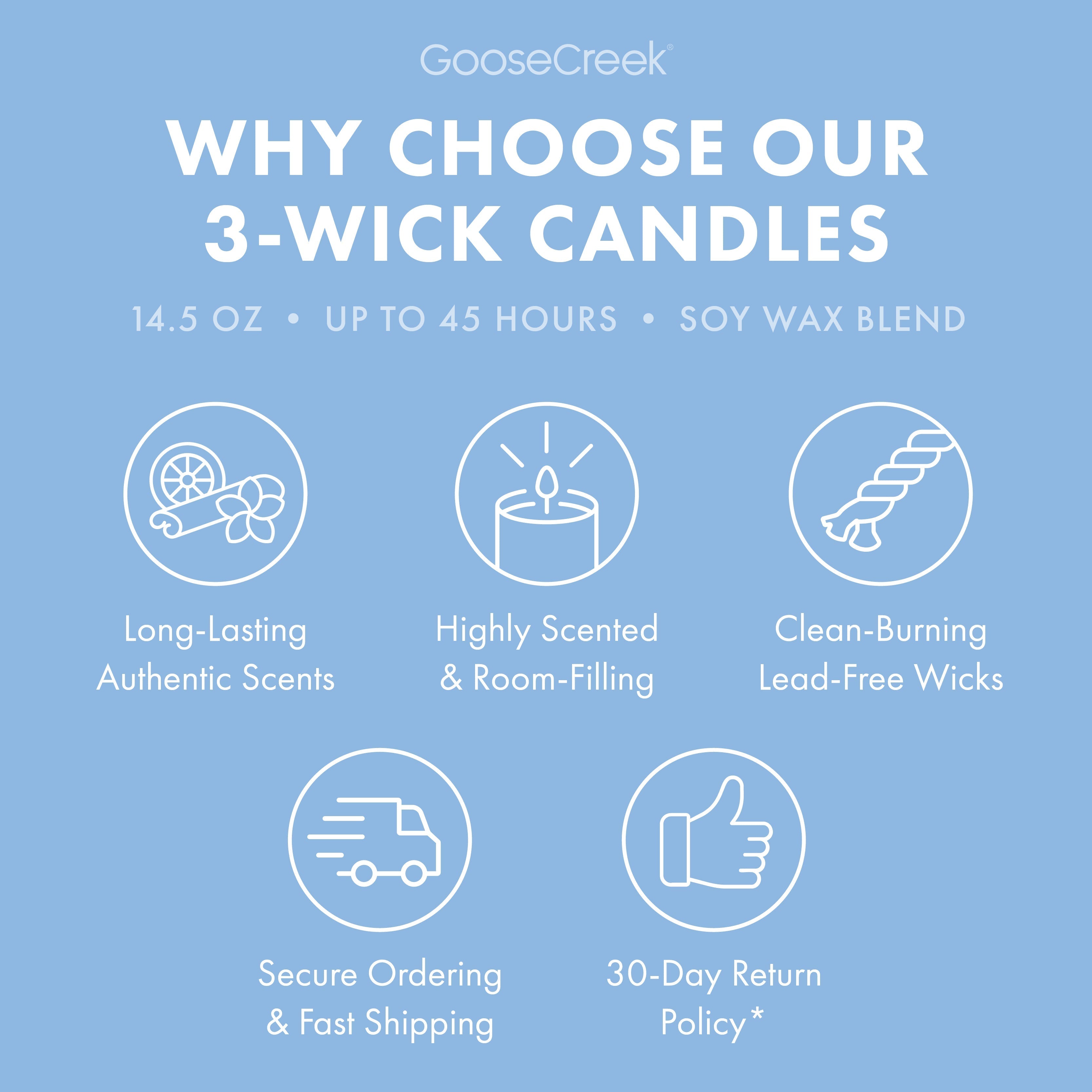 Blueberry Cheesecake 3-Wick Candle