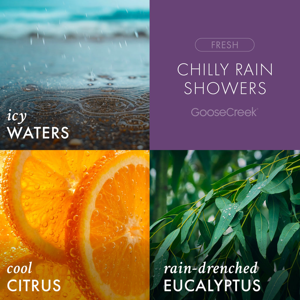 Chilly Rain Showers Odor Eliminating Room Spray