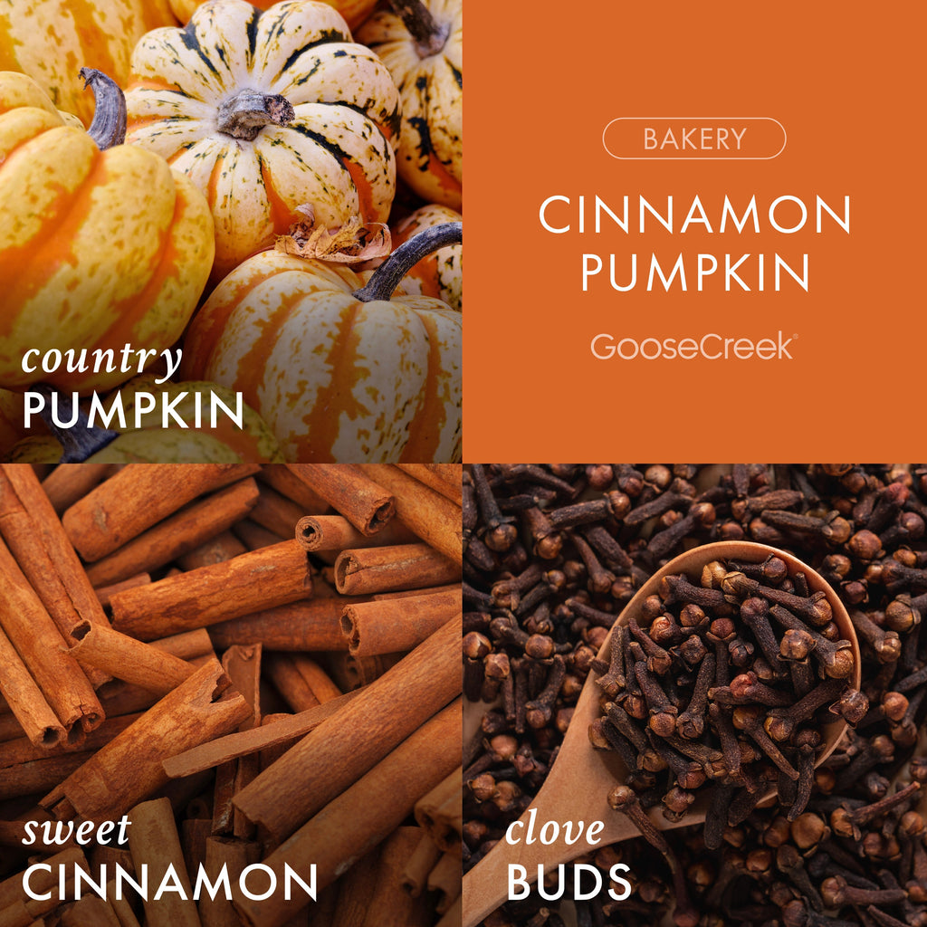 Cinnamon Pumpkin 3-Wick Candle