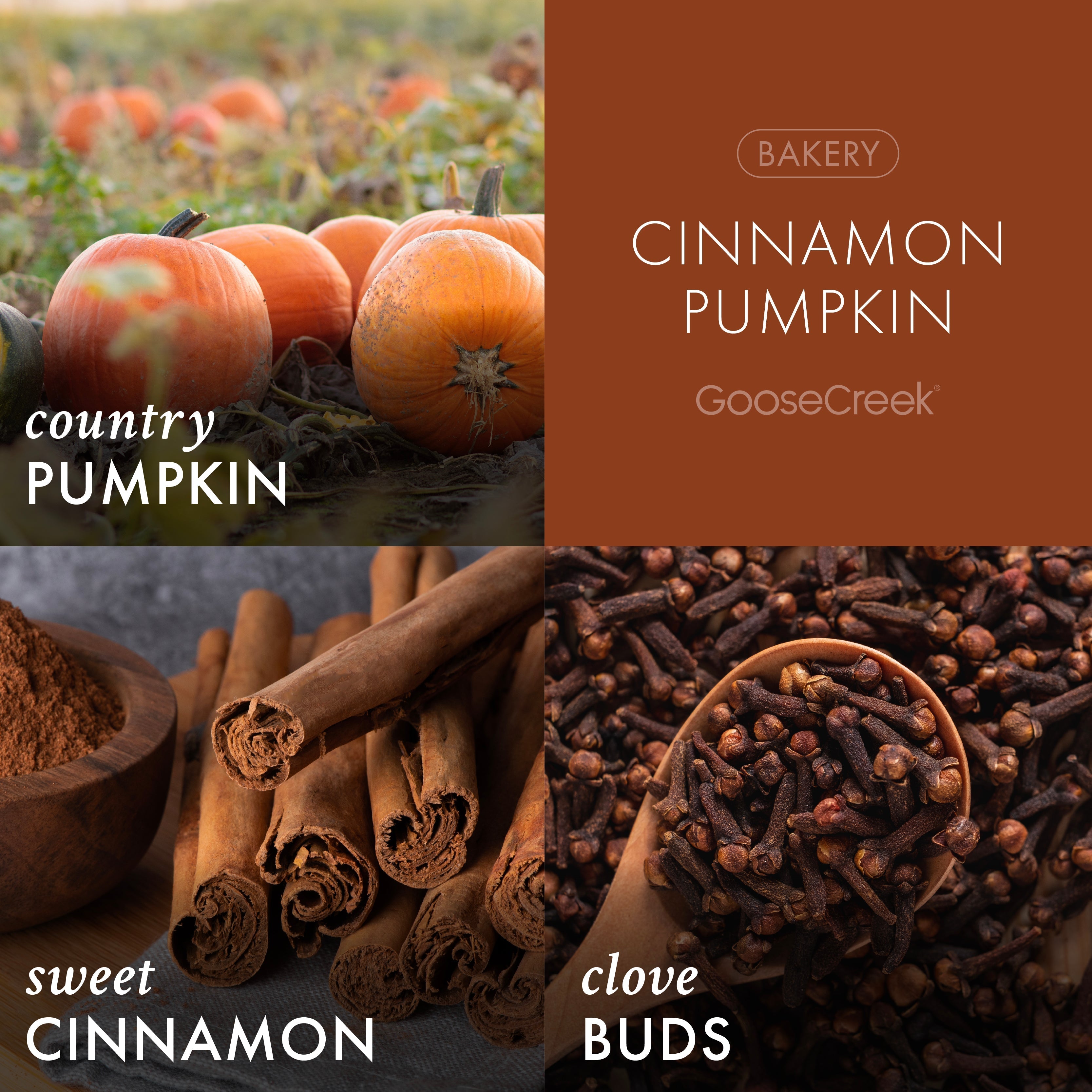 Cinnamon Pumpkin 3-Wick Candle