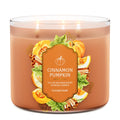 Cinnamon Pumpkin 3-Wick Candle