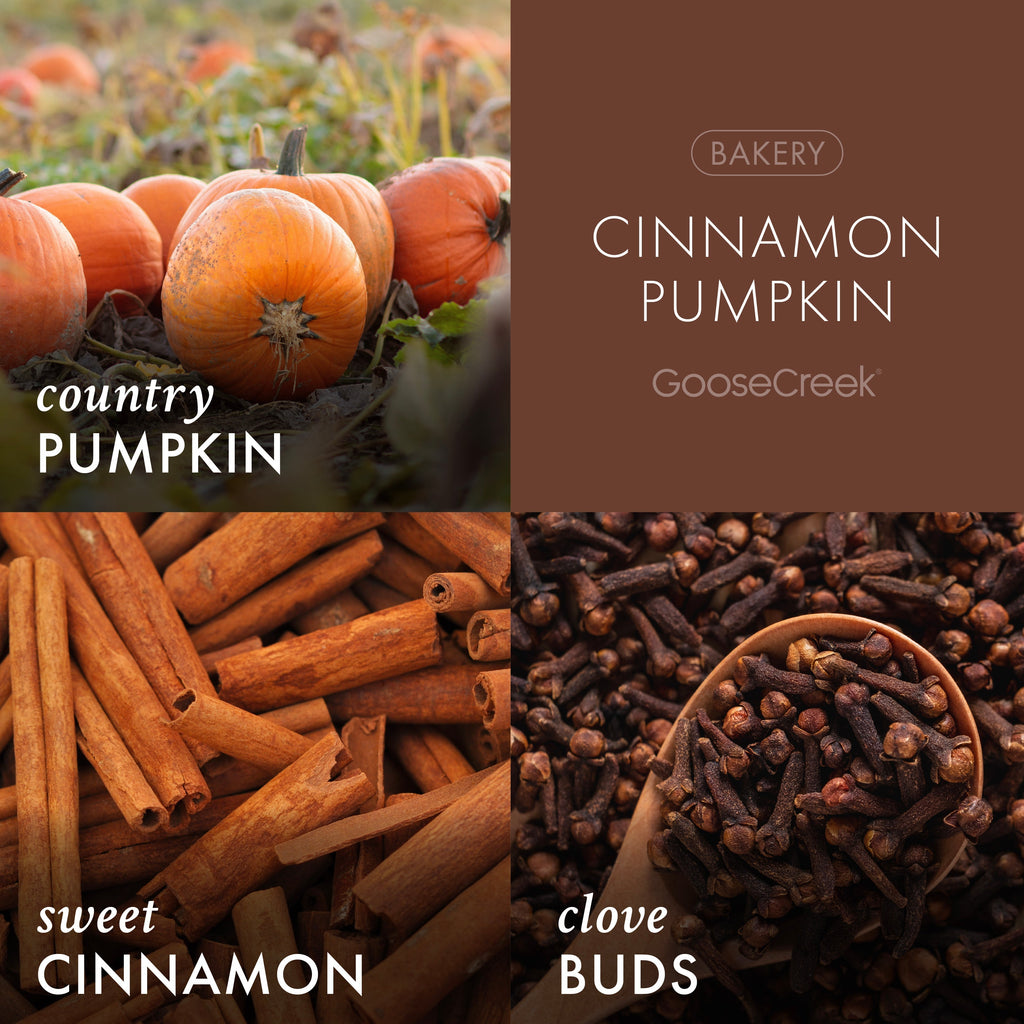 Cinnamon Pumpkin Wax Melt