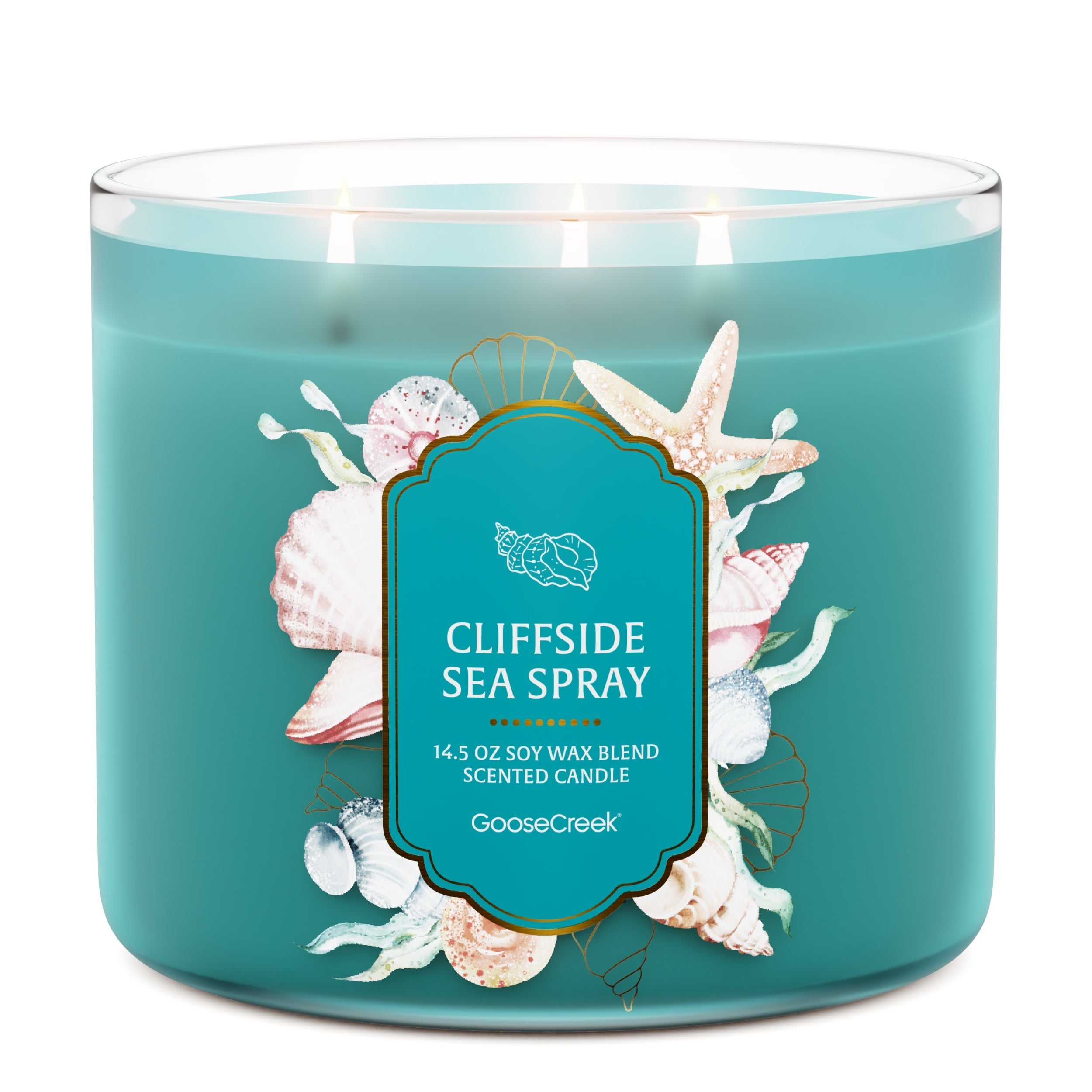 Cliffside Sea Spray 3-Wick Candle