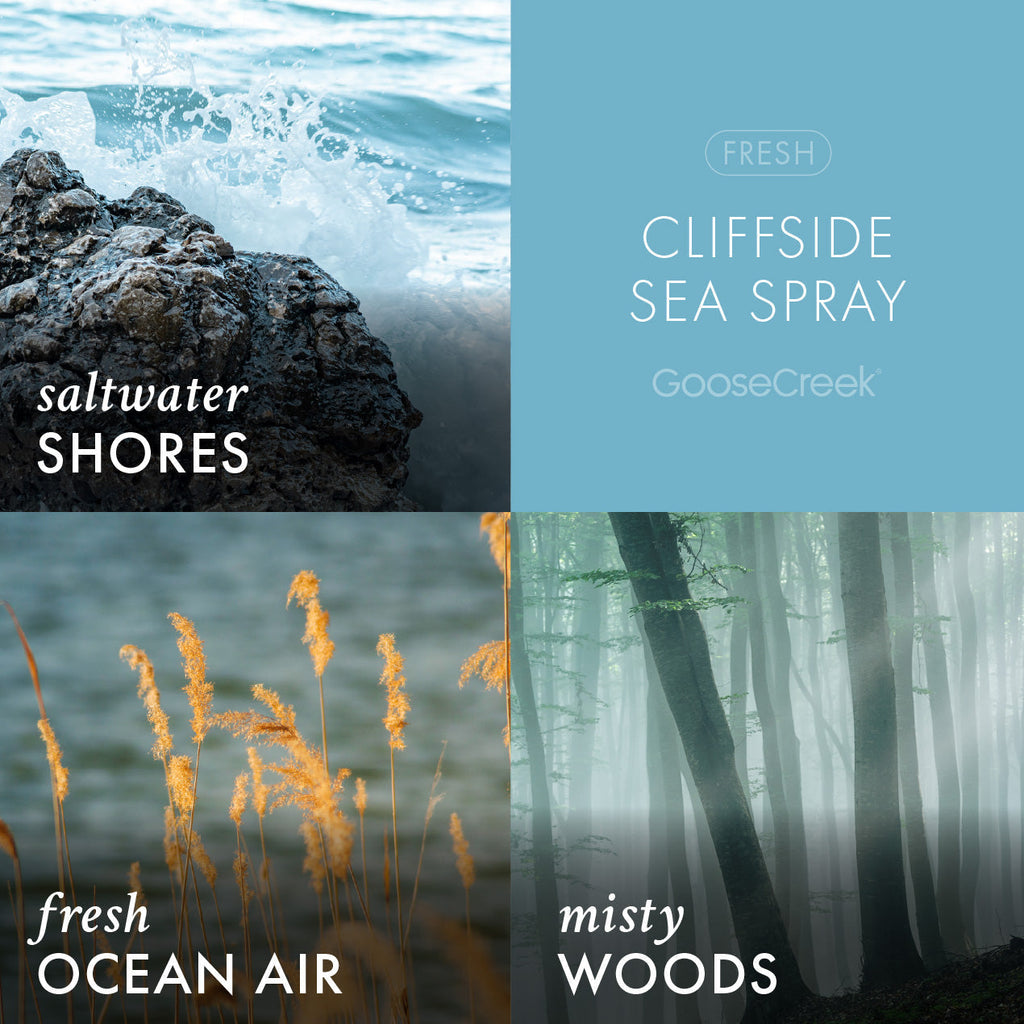 Cliffside Sea Spray Odor Eliminating Wax Melt