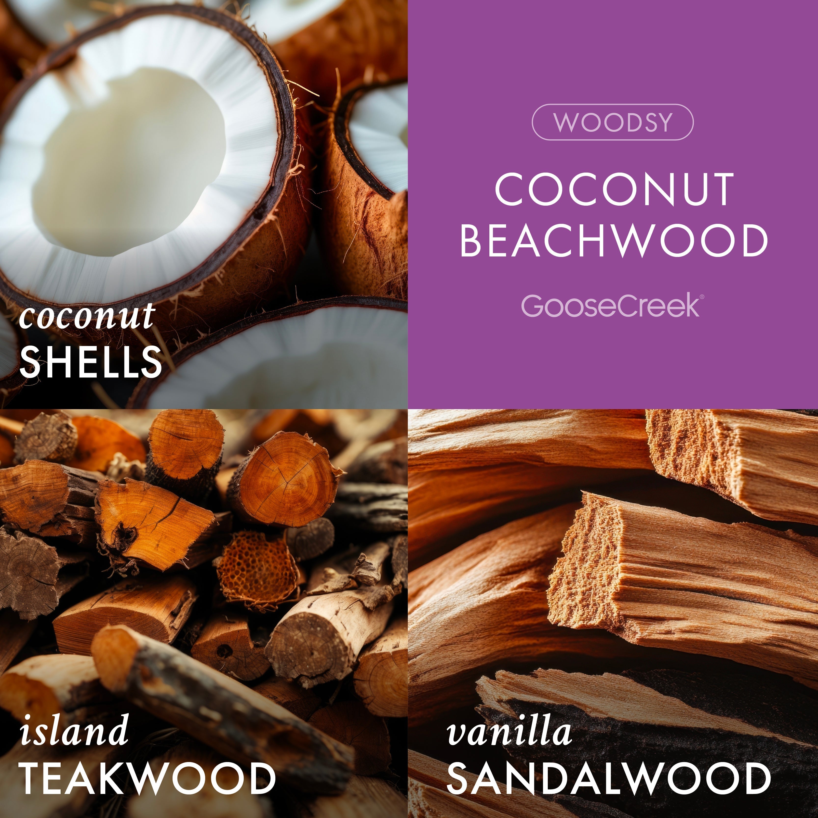 Coconut Beachwood 3-Wick Candle