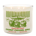 Coconut Caramel Apple 3-Wick Candle