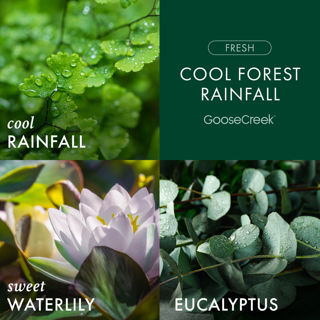 Cool Forest Rainfall 3-Wick Candle