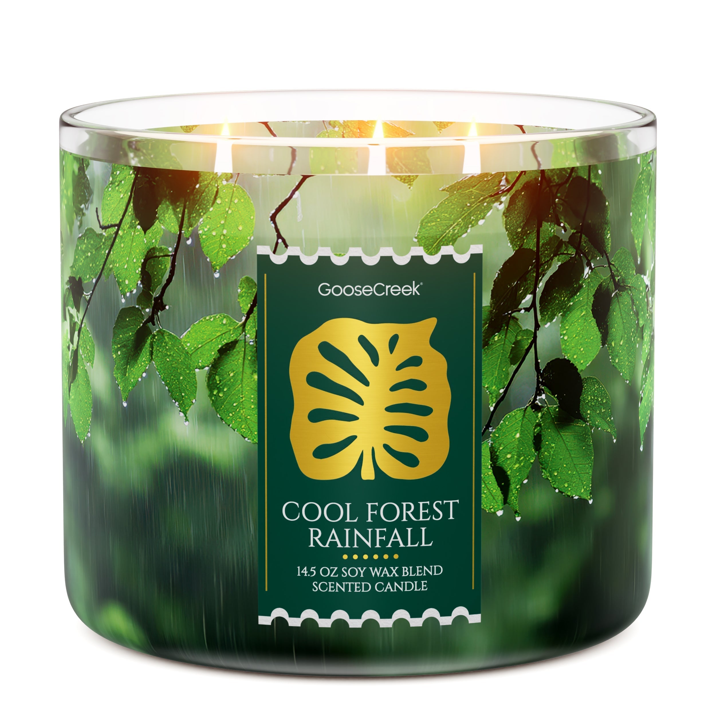 Cool Forest Rainfall 3-Wick Candle