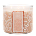 Coral Cove 3-Wick Candle