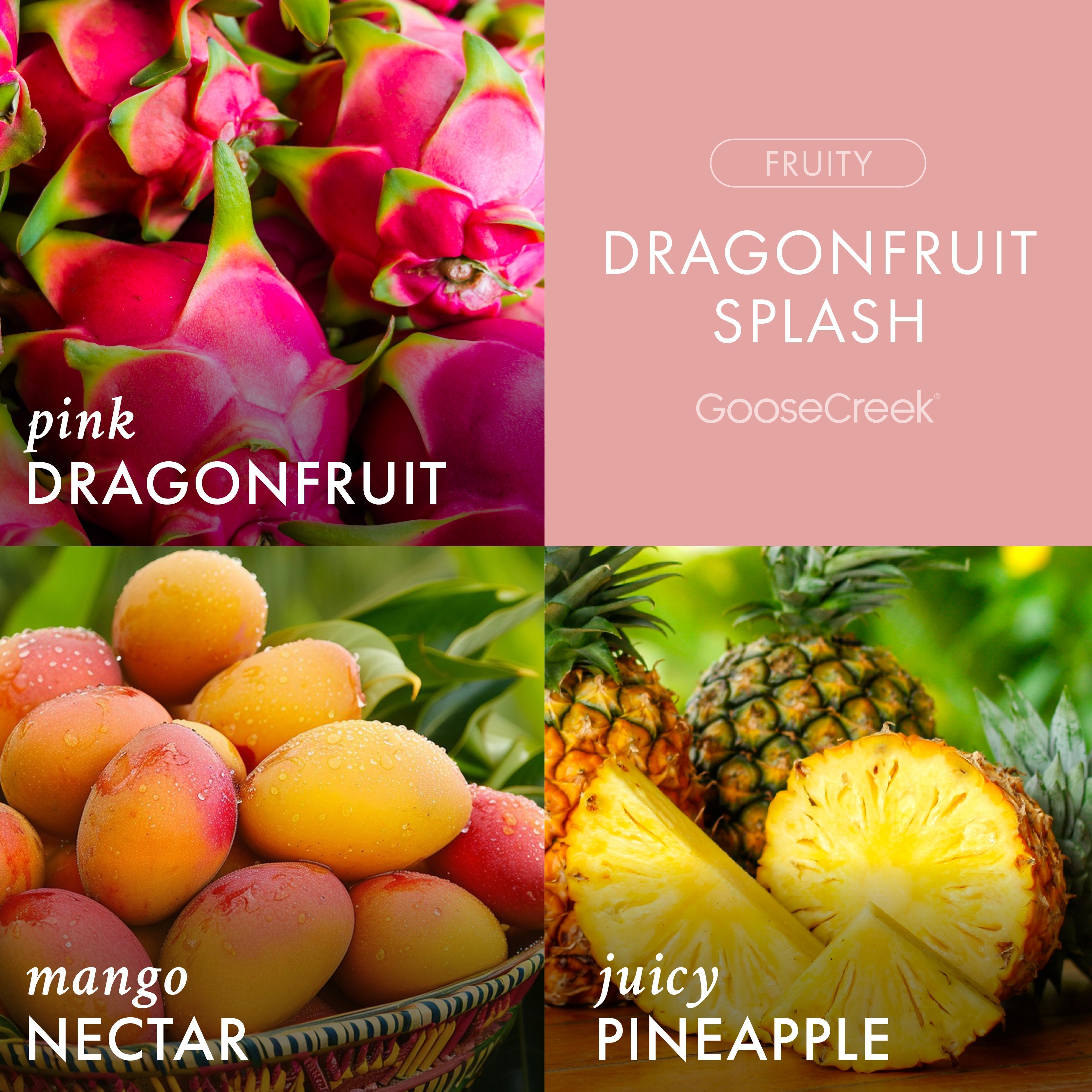 Dragonfruit Splash 3-Wick Candle