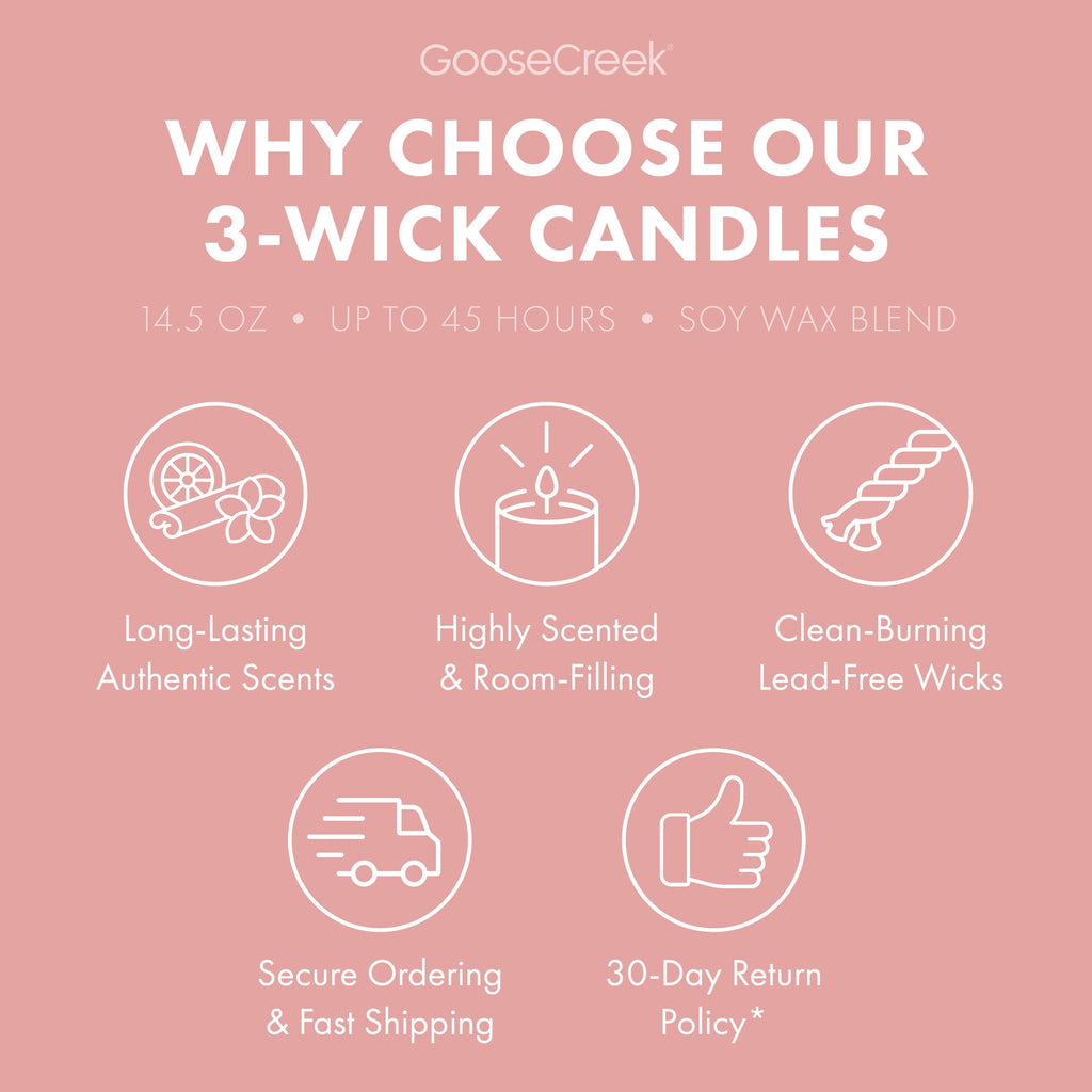 Dragonfruit Splash 3-Wick Candle