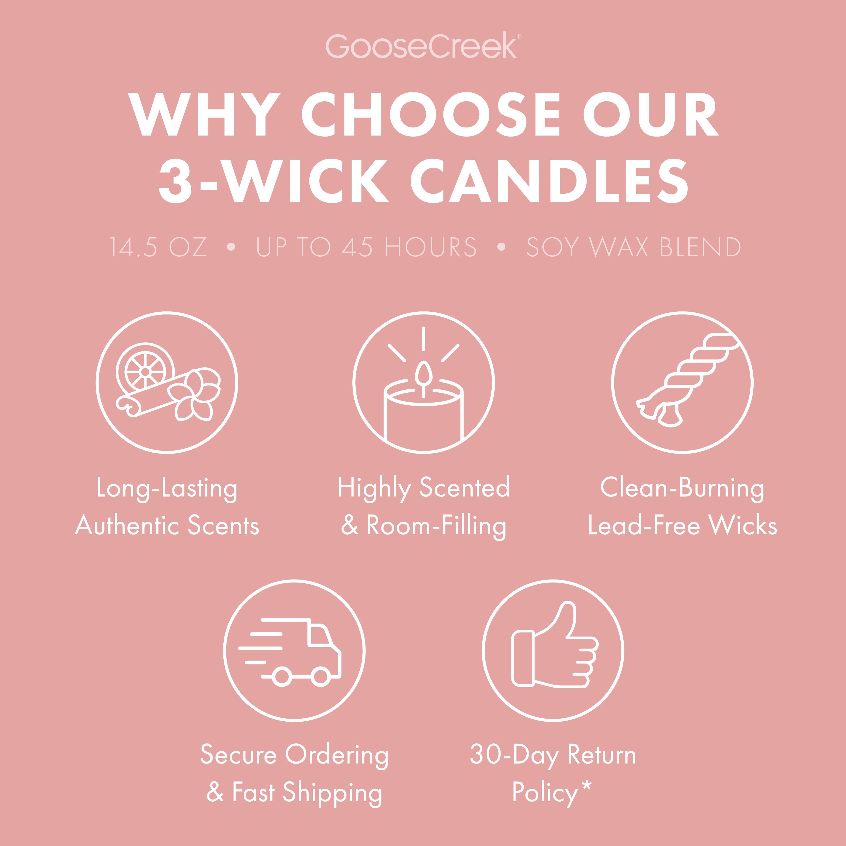Dragonfruit Splash 3-Wick Candle