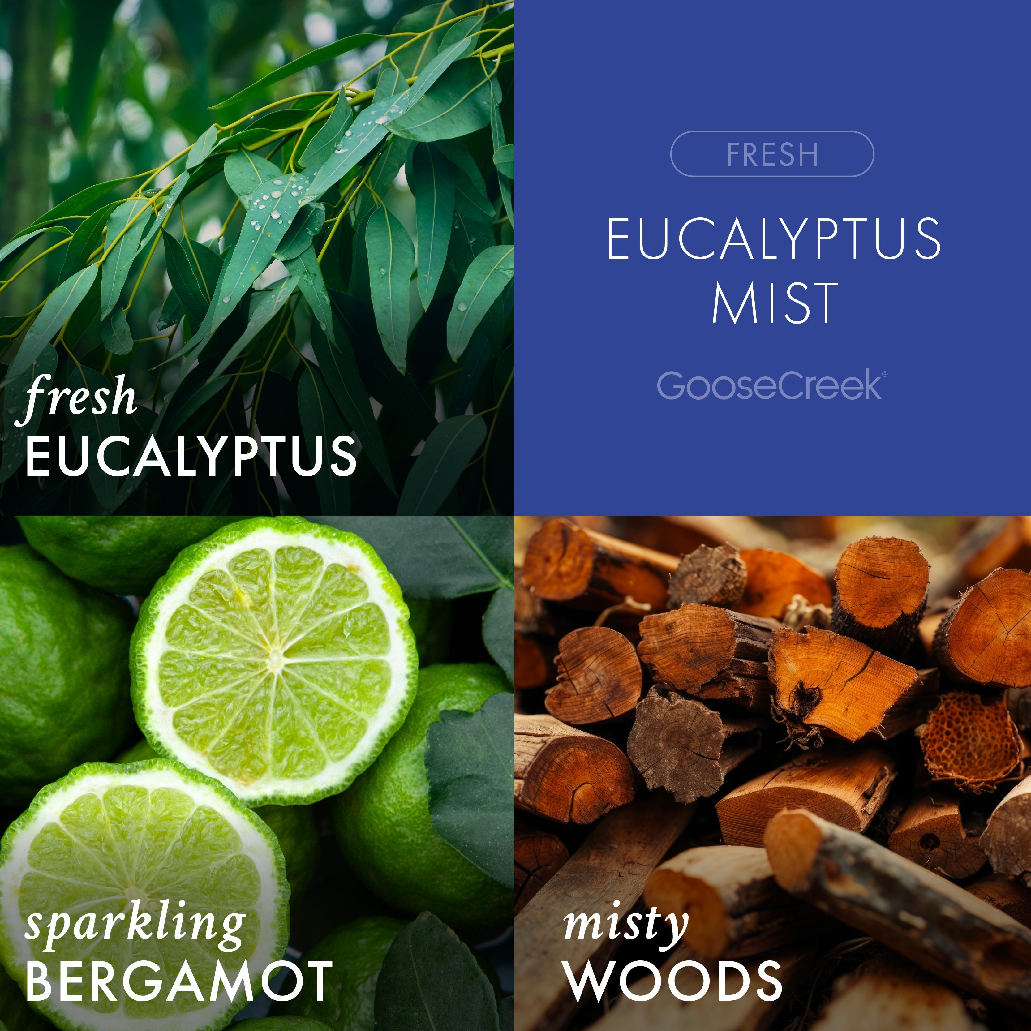 Eucalyptus Mist Odor Eliminating 7oz Single Wick Candle