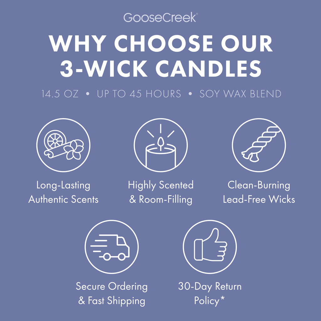 Fairly Odd Parents Nickelodeon 3-Wick Candle