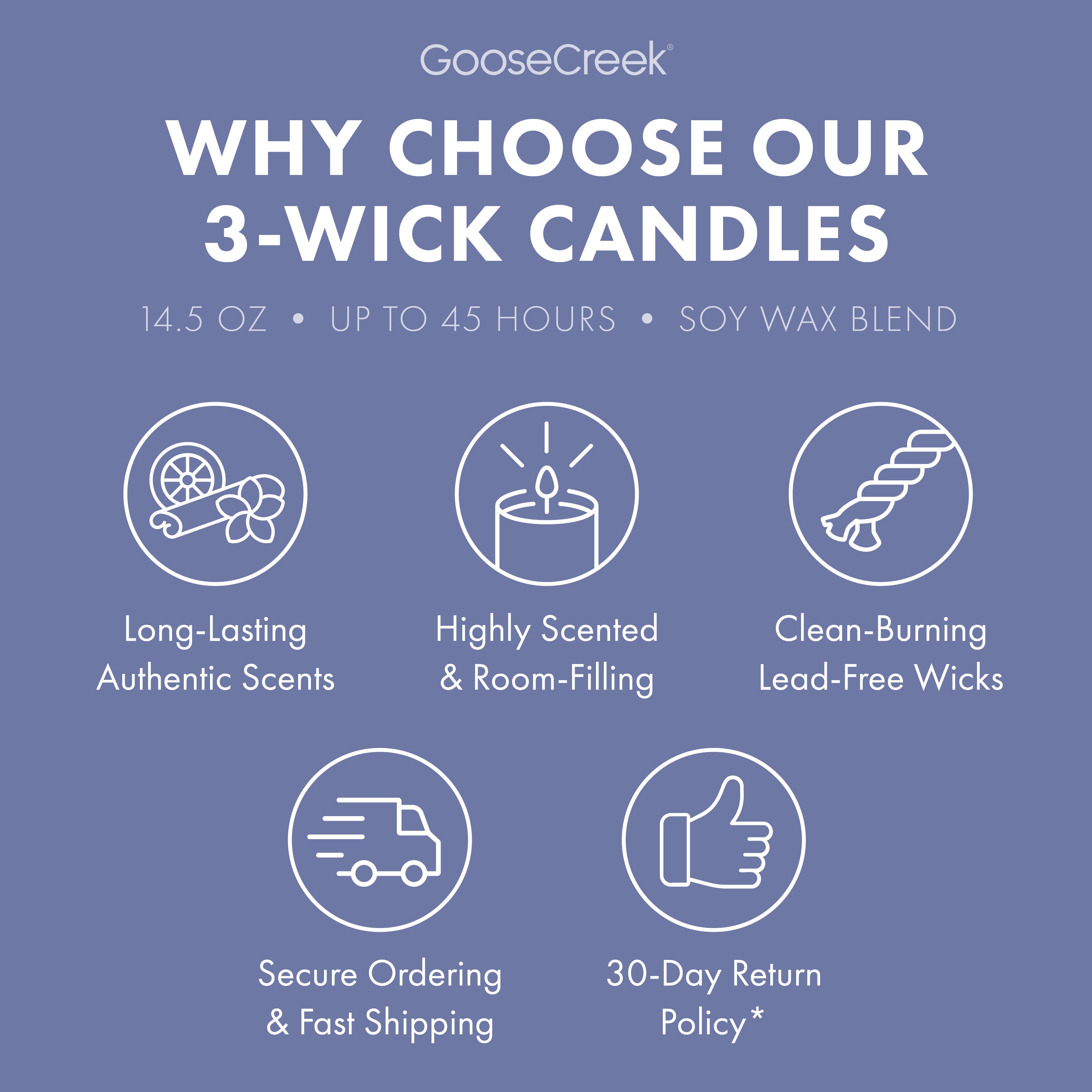 Fairly Odd Parents Nickelodeon 3-Wick Candle