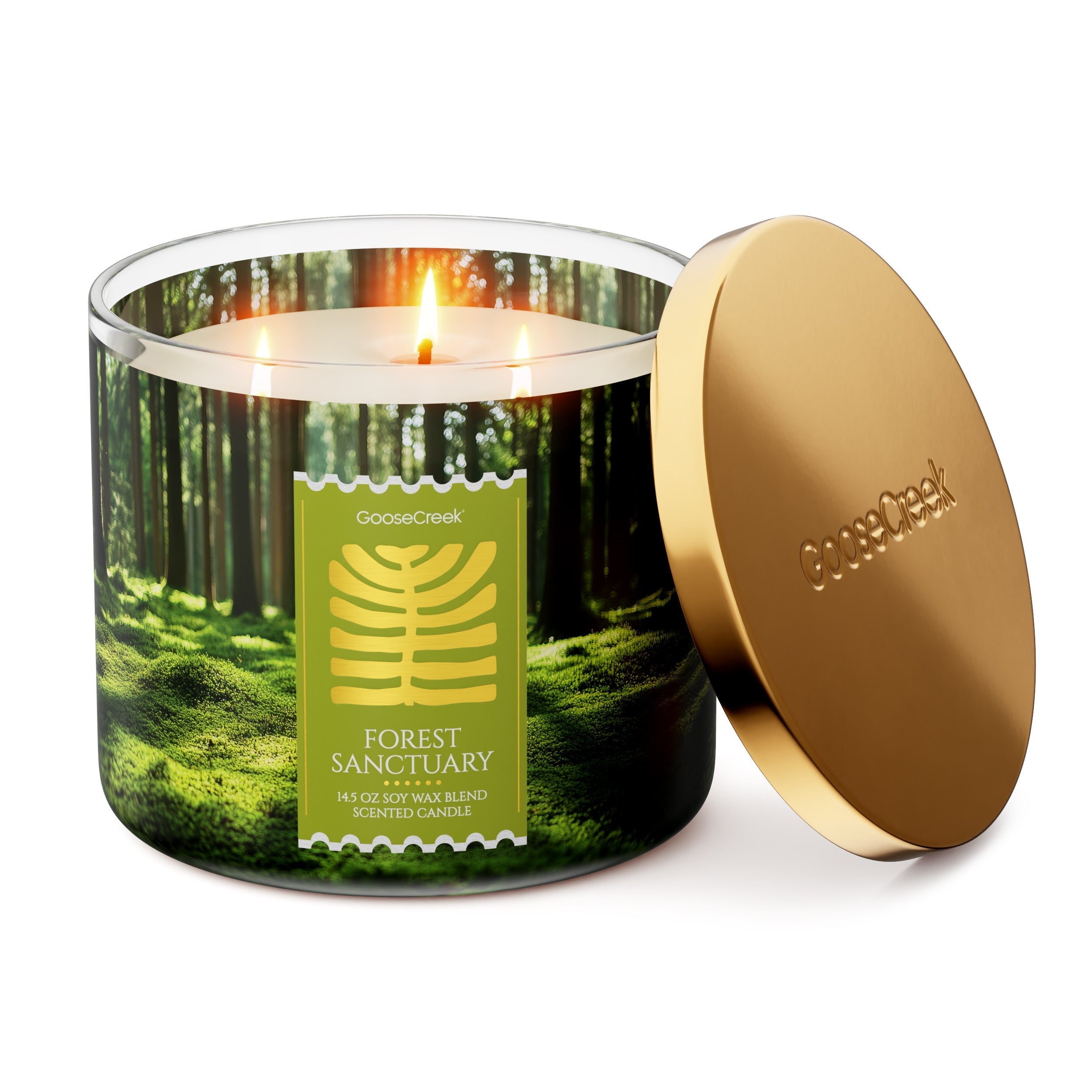 Forest Sanctuary 3-Wick Candle
