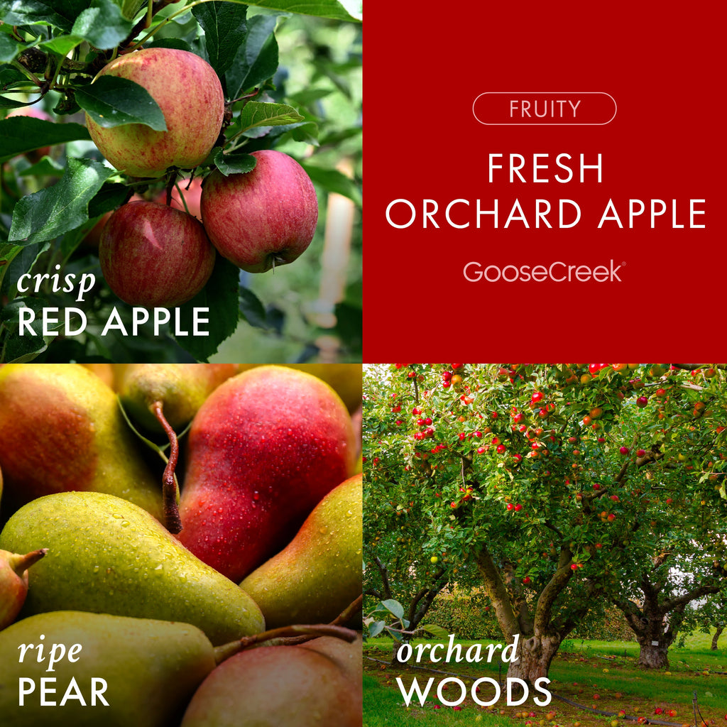 Fresh Orchard Apple 3-Wick Candle