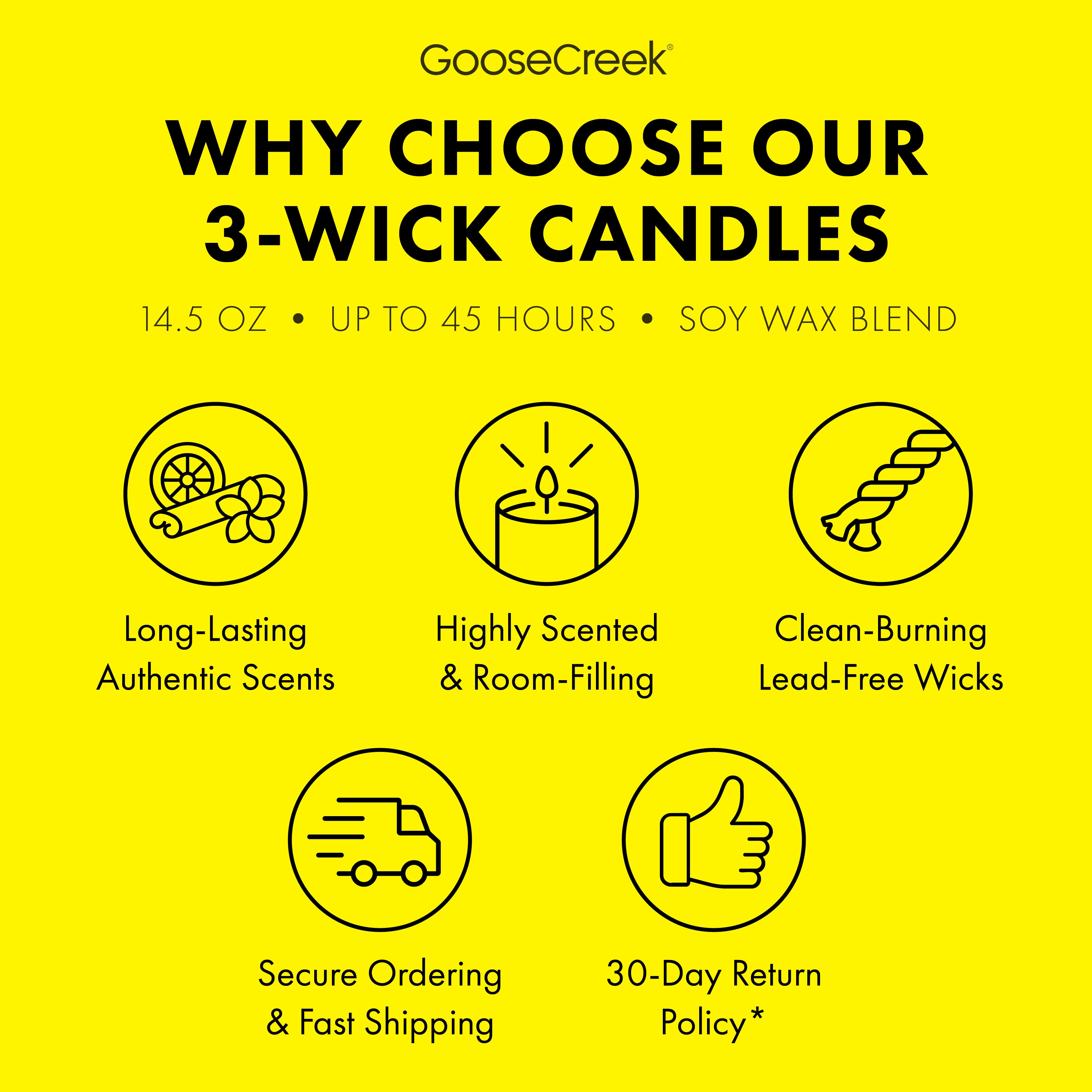 Girl Scout Lemon-Ups™ 3-Wick Candle