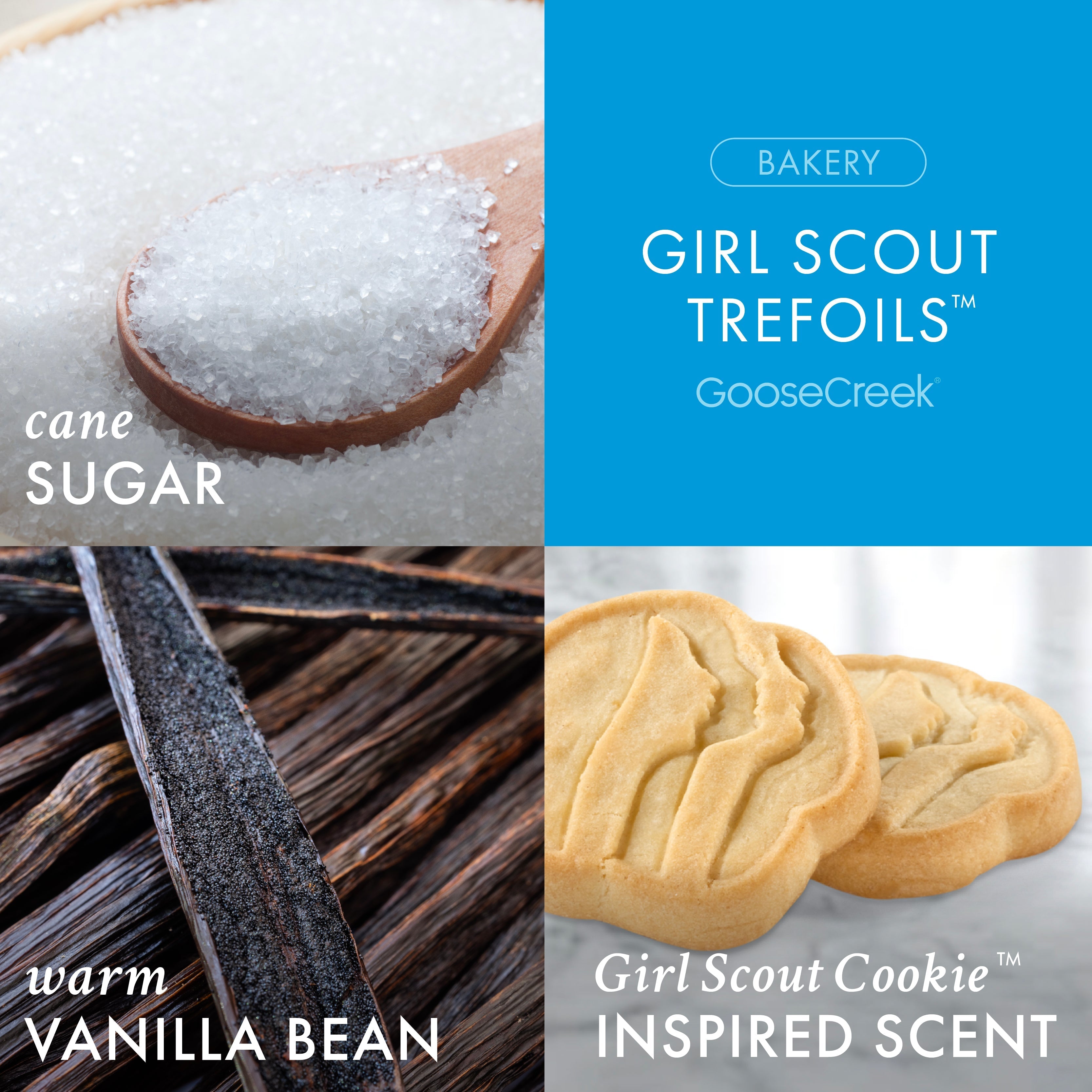 Girl Scout Trefoils™ 3-Wick Candle