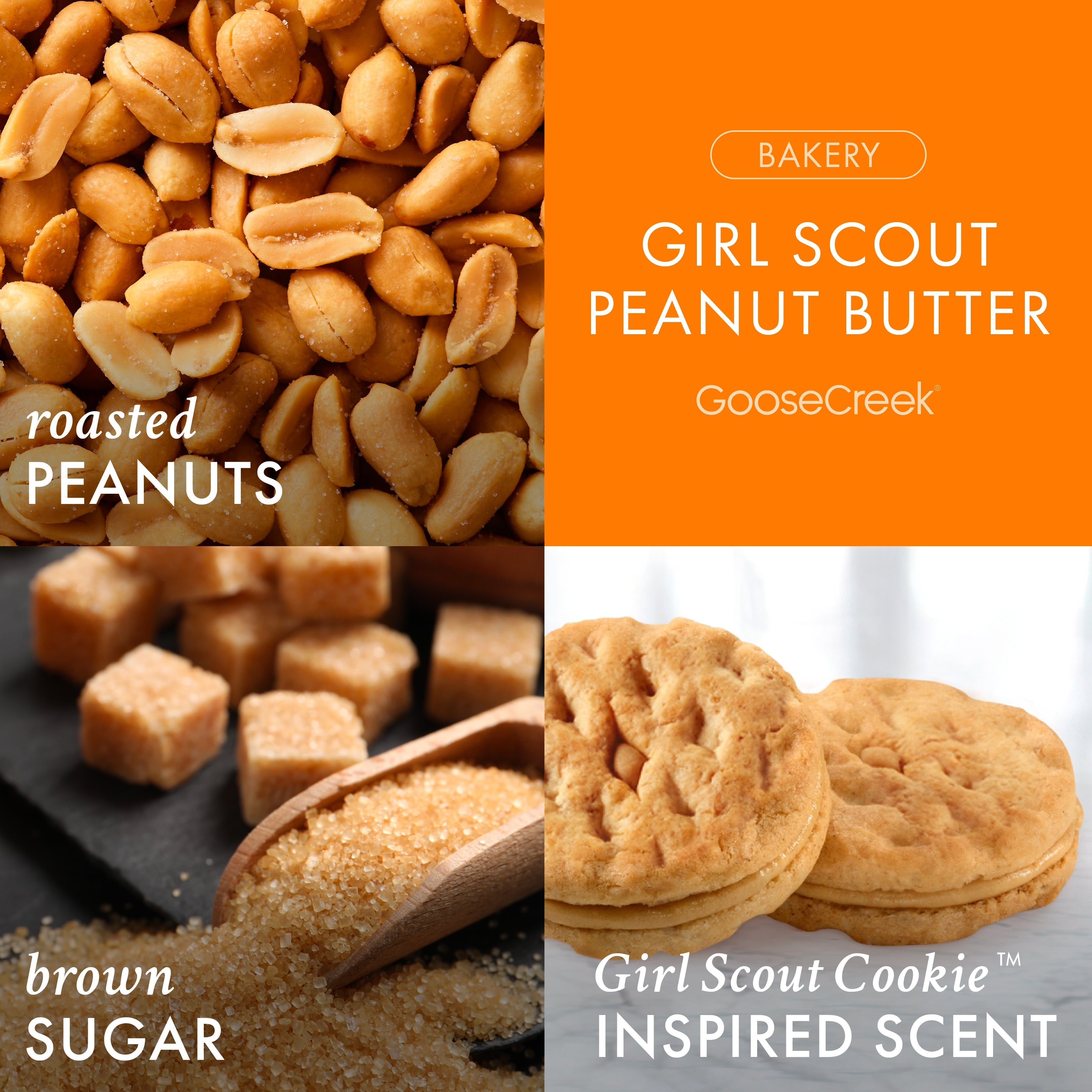 Girl Scouts Peanut Butter 3-Wick Candle