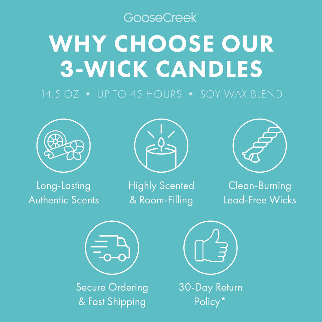 Hey Arnold Nickelodeon 3-Wick Candle
