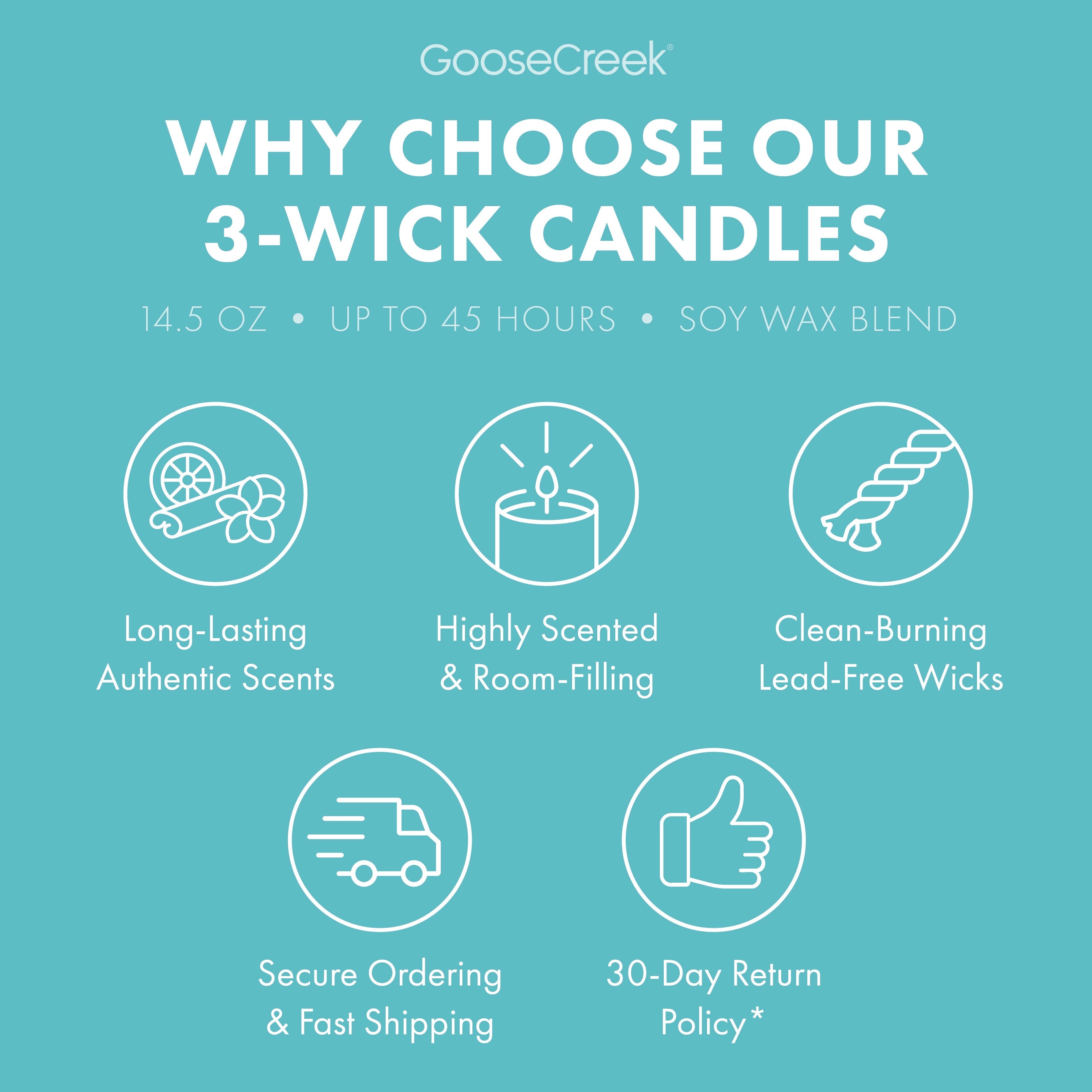 Hey Arnold Nickelodeon 3-Wick Candle