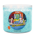 Hey Arnold Nickelodeon 3-Wick Candle