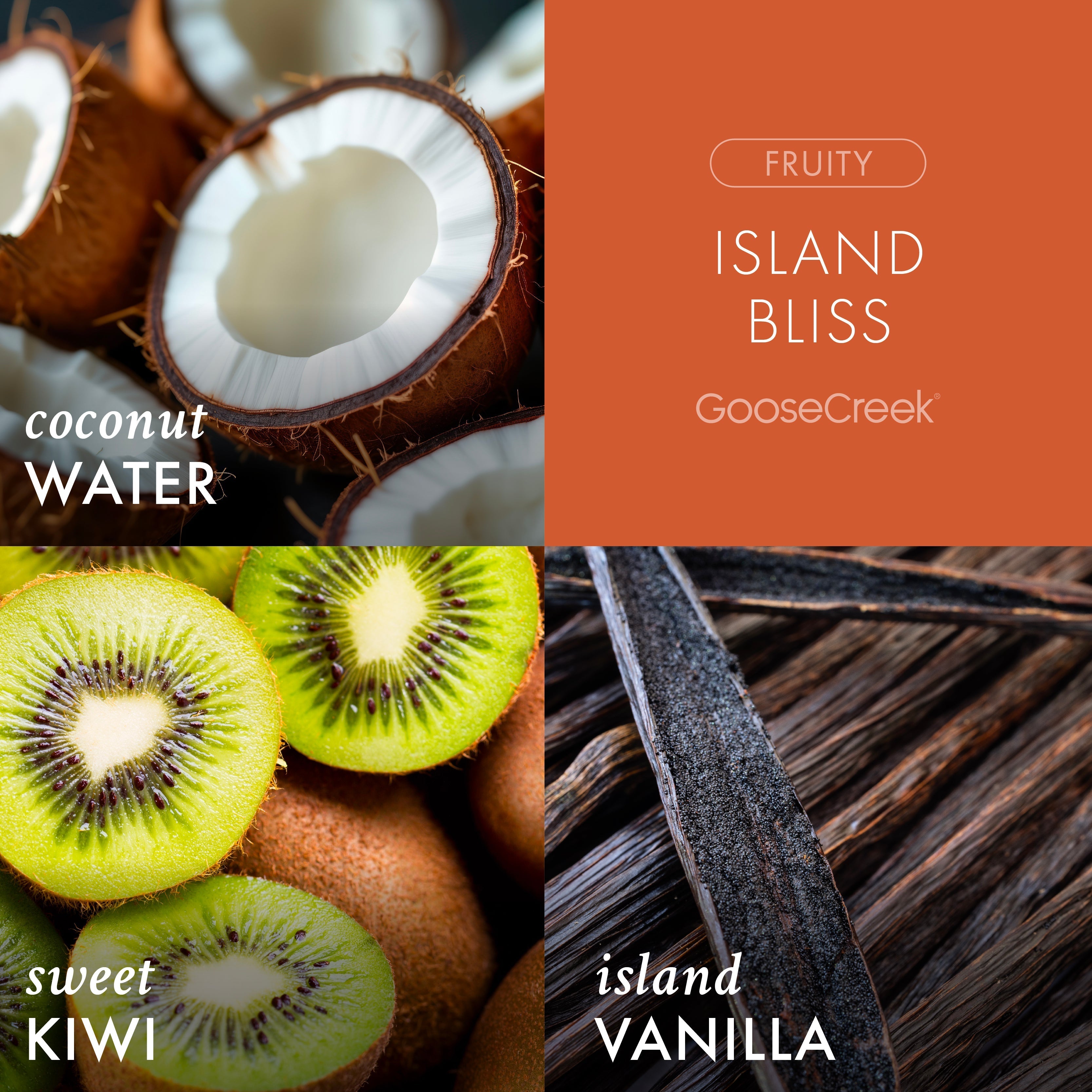 Island Bliss Odor Eliminating Plug-in Refill