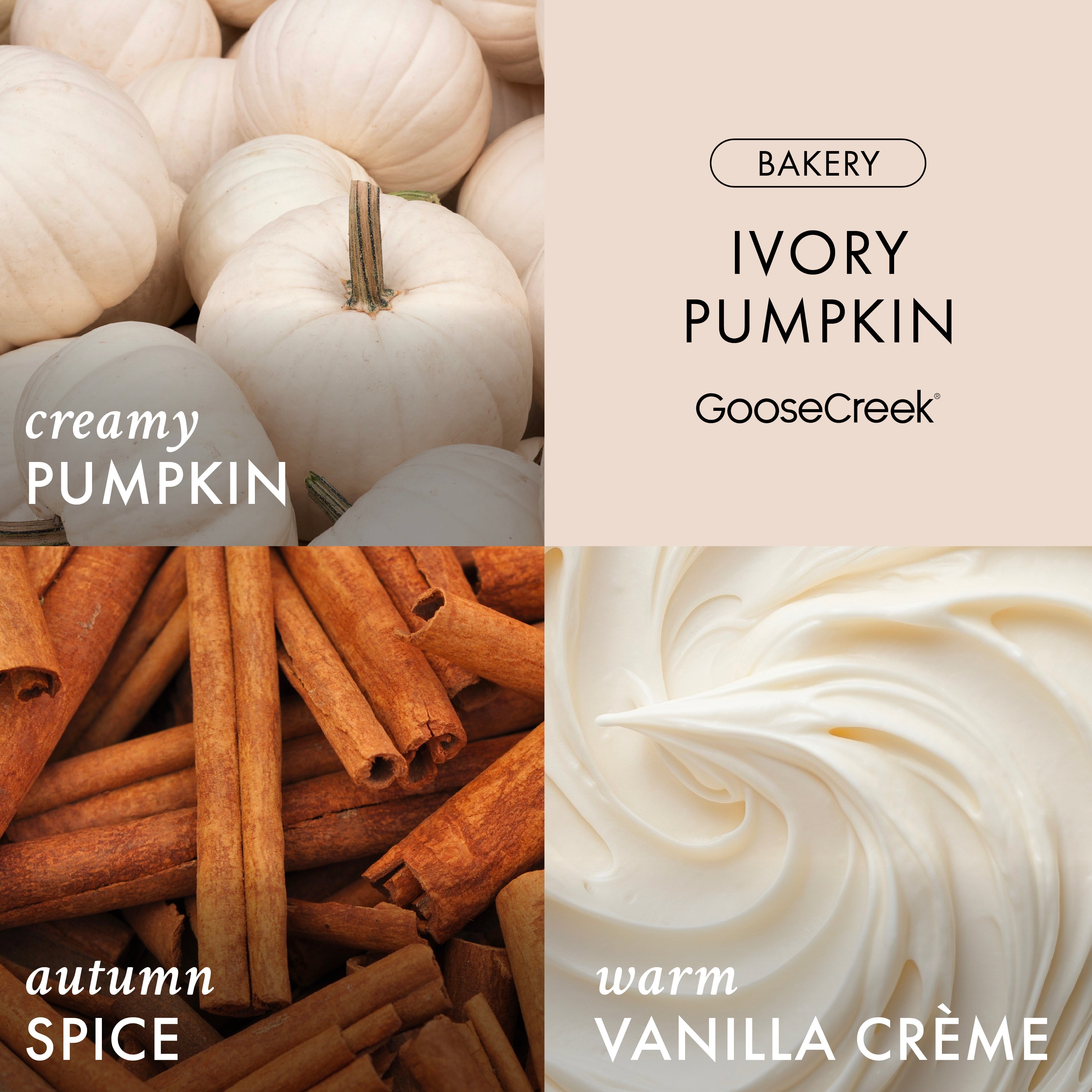 Ivory Pumpkin 3-Wick Candle