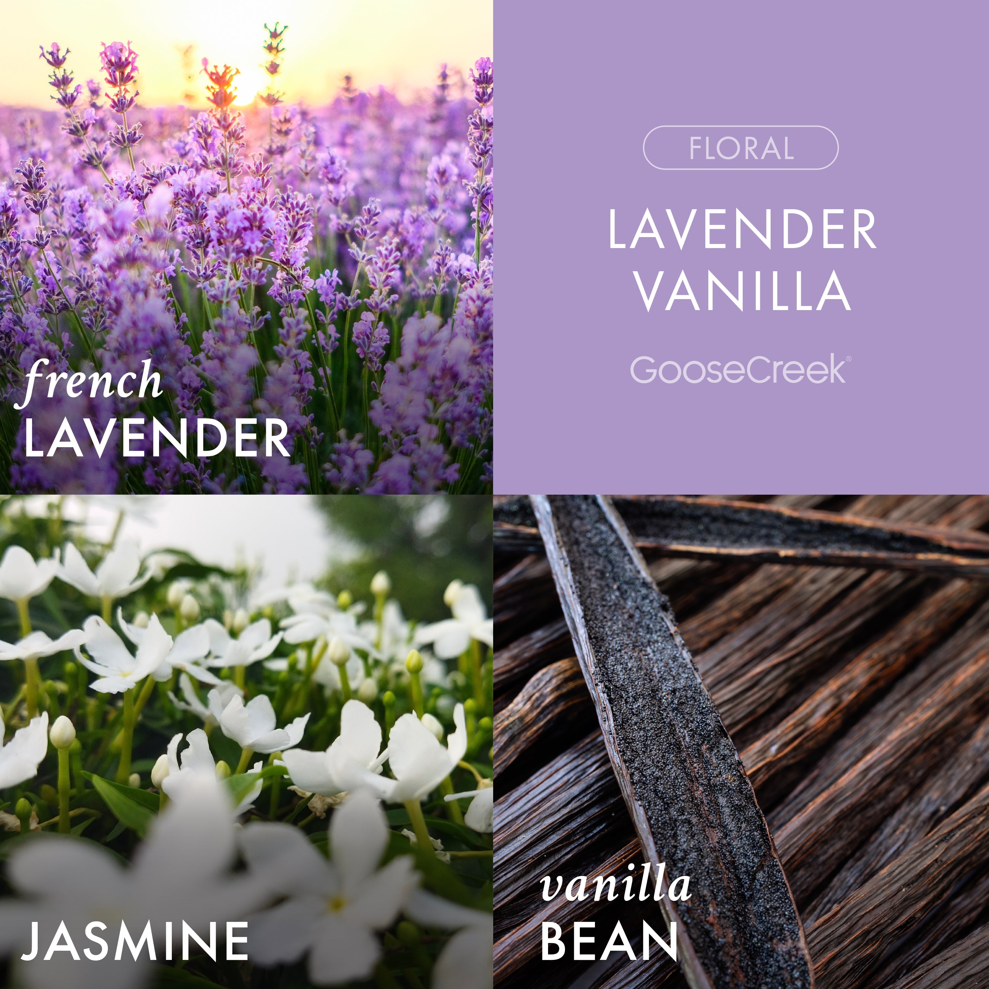 Lavender Vanilla 3-Wick Candle
