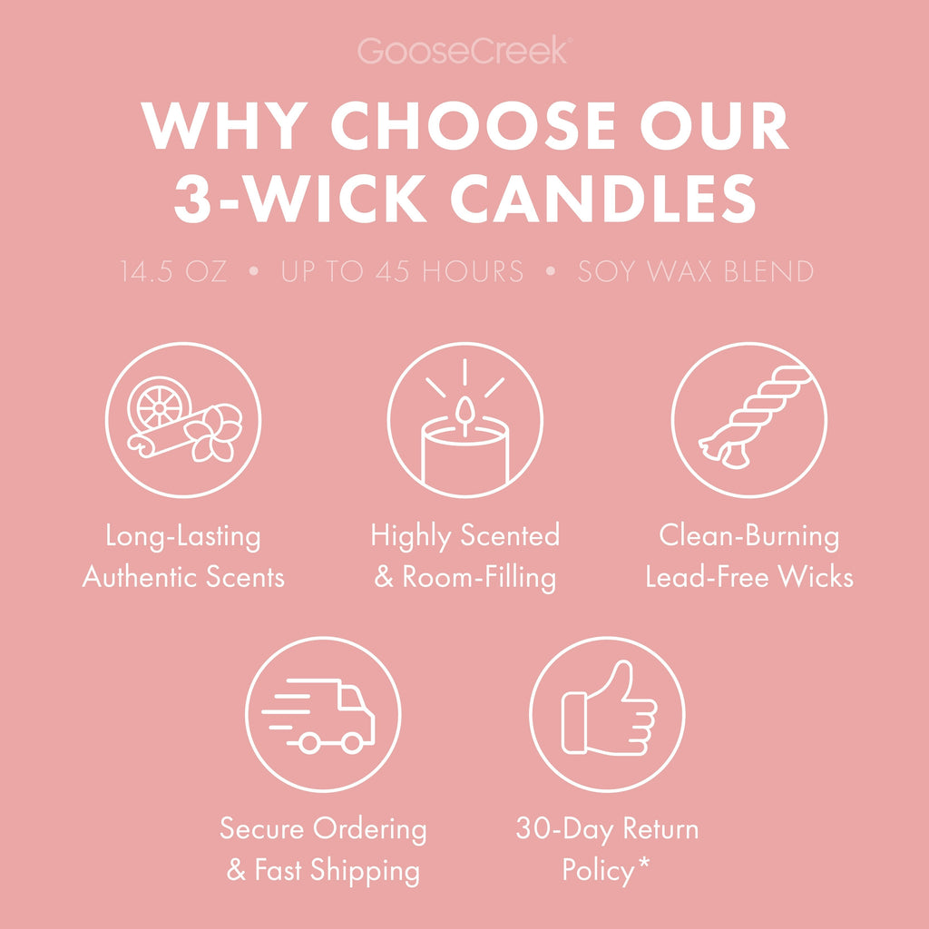 Macintosh Apple 3-Wick Candle