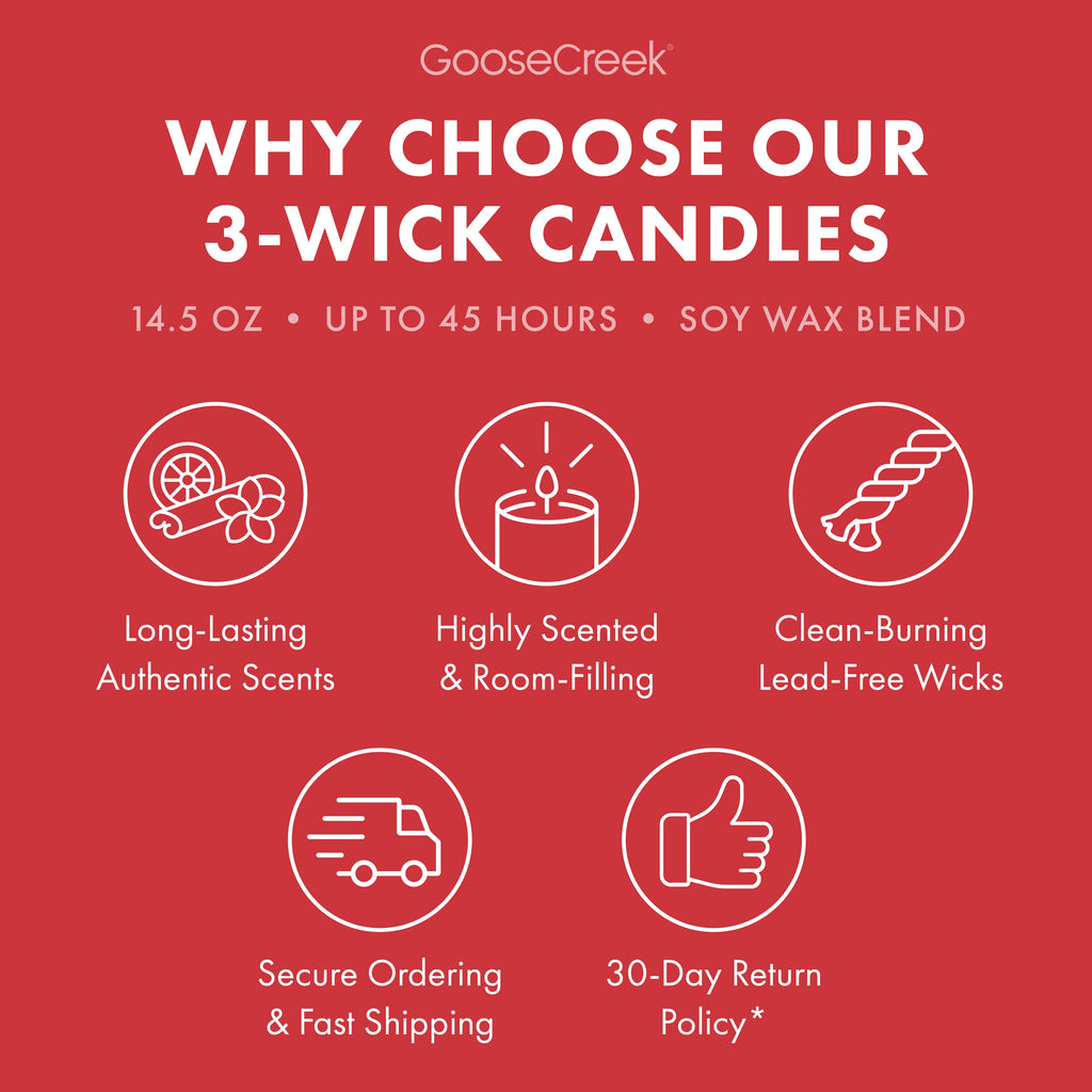 Macintosh Apple 3-Wick Candle