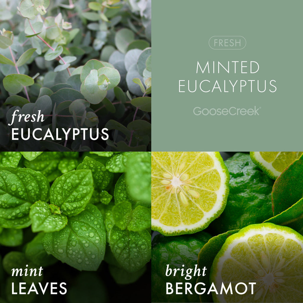 Minted Eucalyptus Plug-in Refill