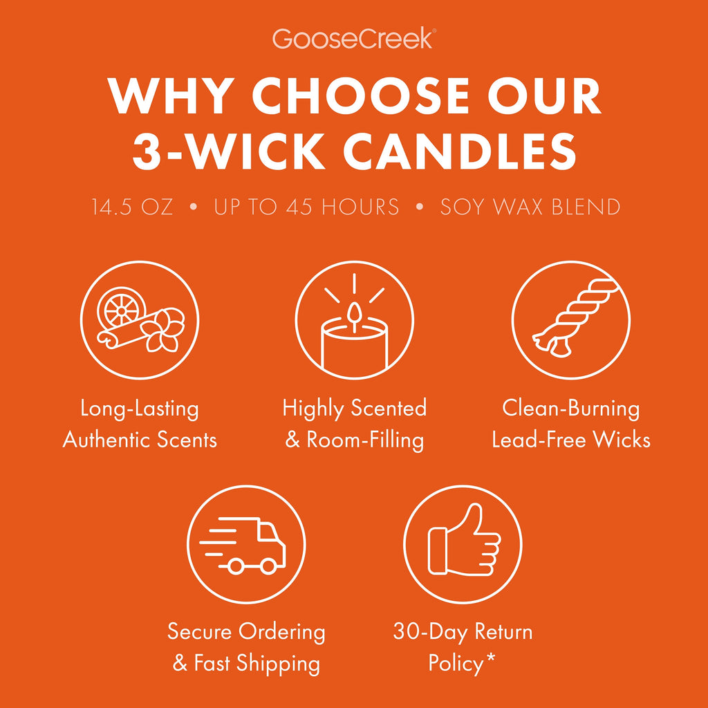 Nickelodeon 3-Wick Candle
