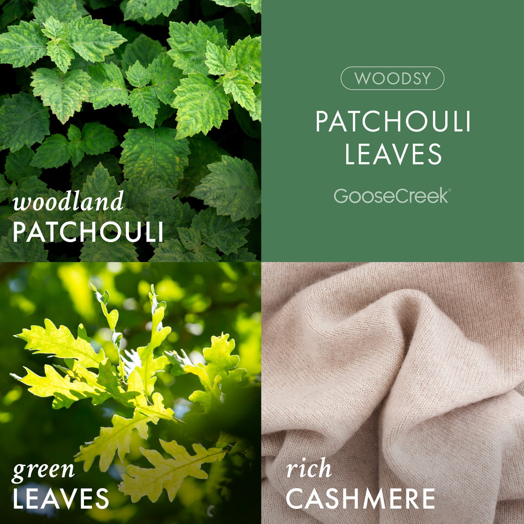 Patchouli Leaves 3-Wick Candle