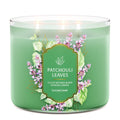 Patchouli Leaves 3-Wick Candle