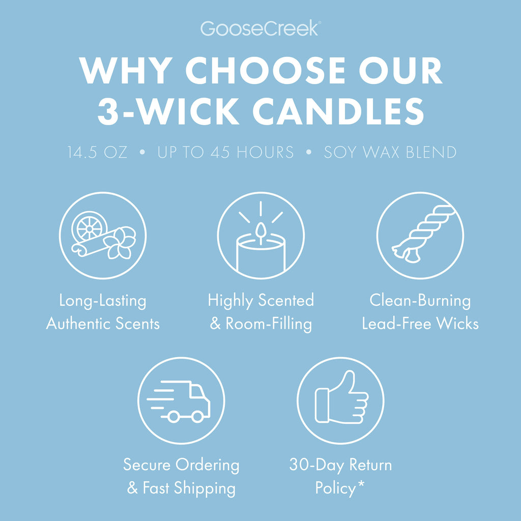 Rocket Power Nickelodeon 3-Wick Candle