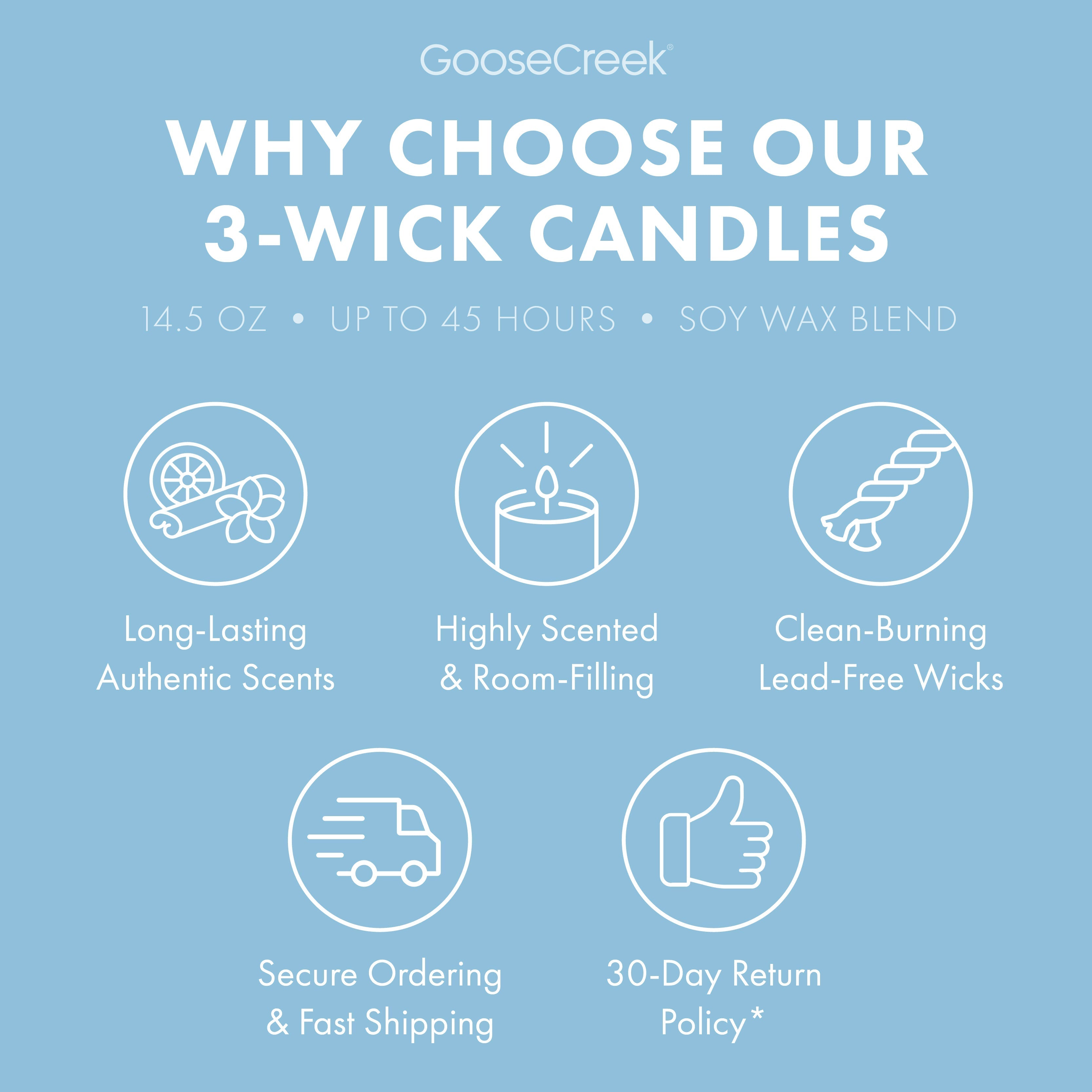 Rocket Power Nickelodeon 3-Wick Candle