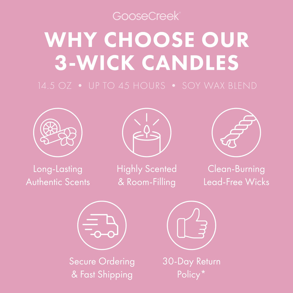 Rocko's Modern Life Nickelodeon 3-Wick Candle