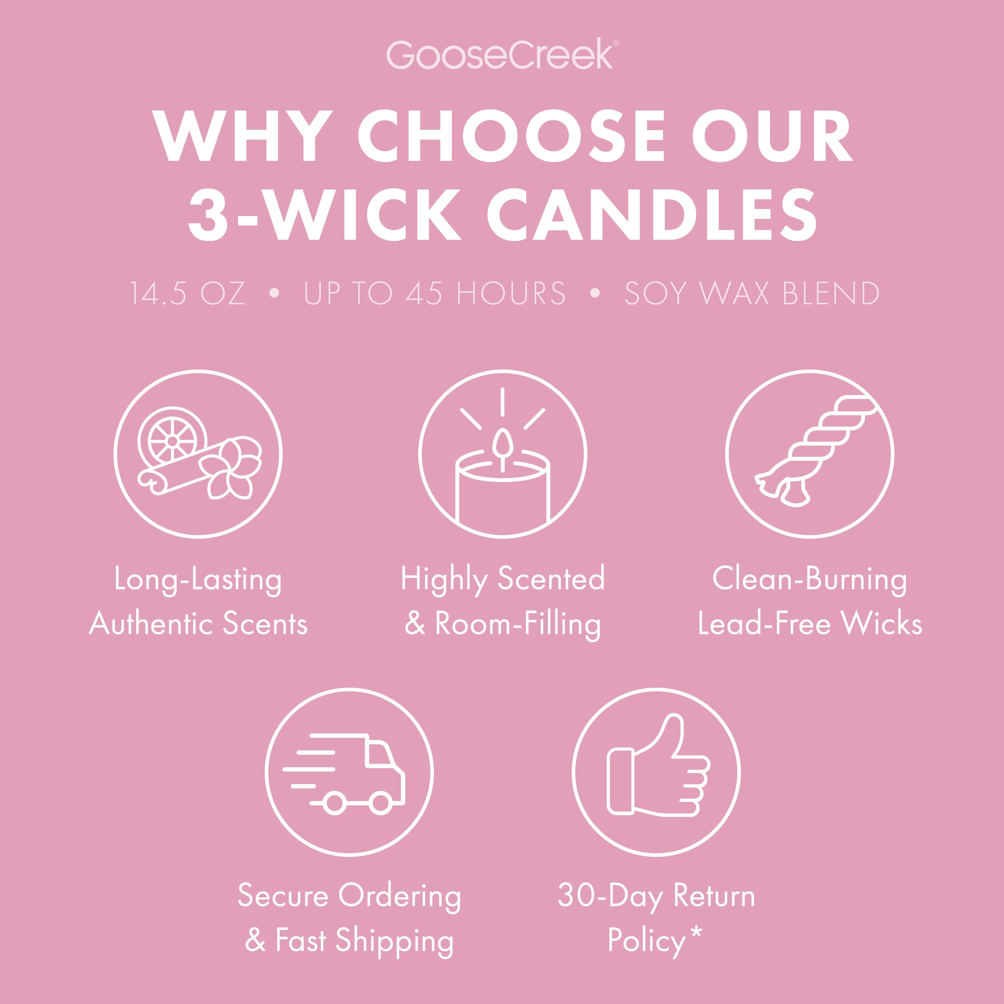 Rocko's Modern Life Nickelodeon 3-Wick Candle