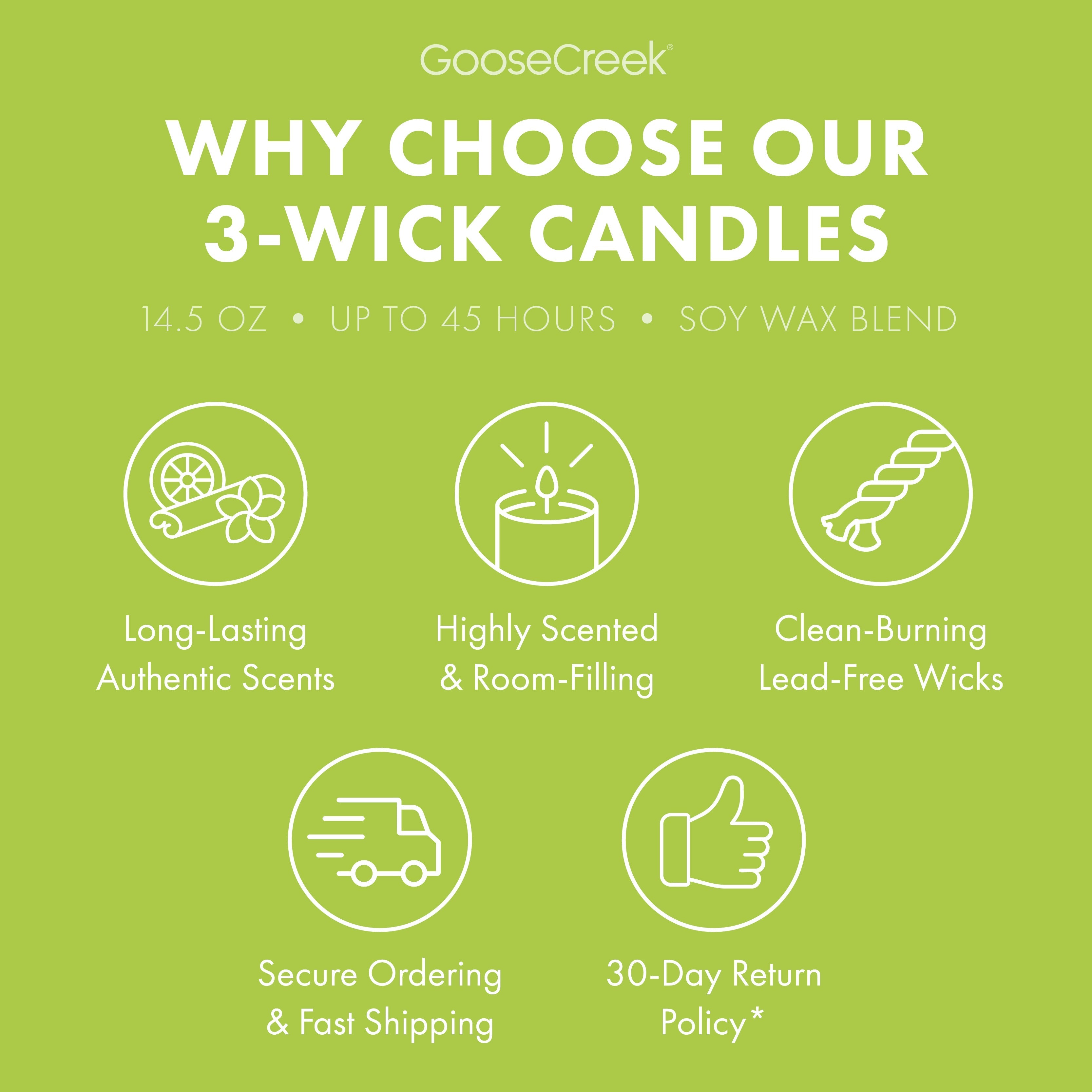 Rugrats Nickelodeon 3-Wick Candle