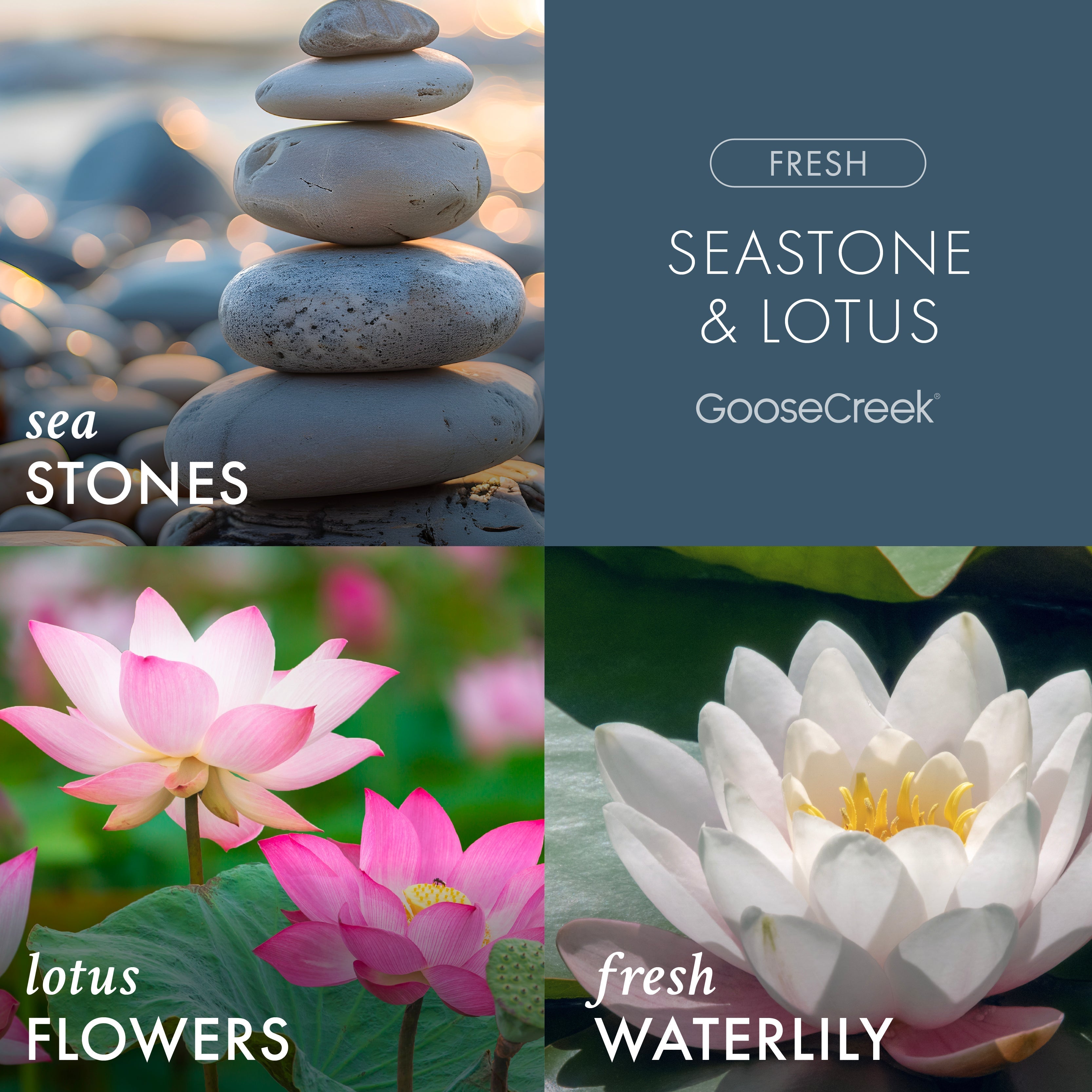 Seastone & Lotus Plug-in Refill