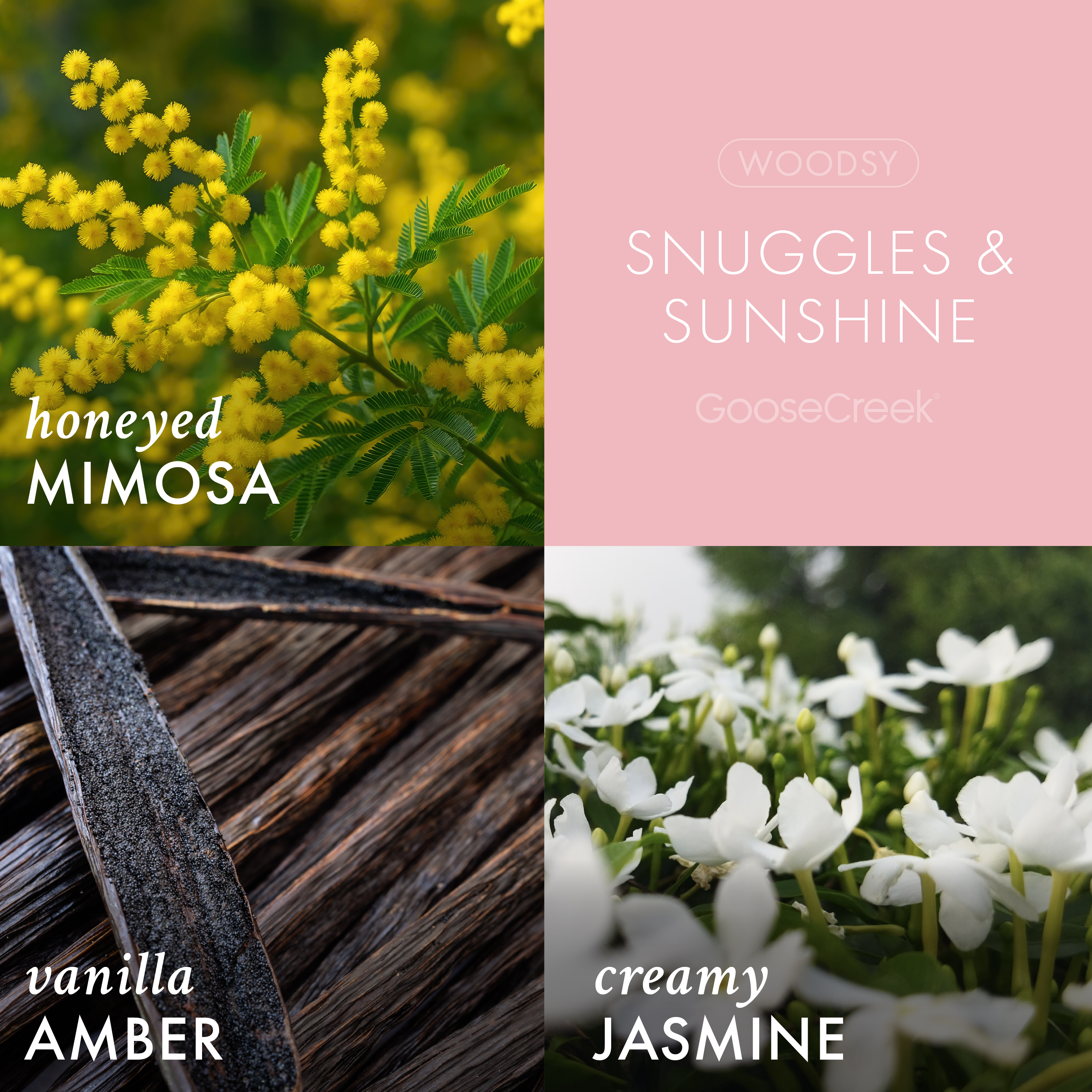 Snuggles & Sunshine Plug-in Refill