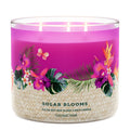Solar Blooms 3-Wick Candle