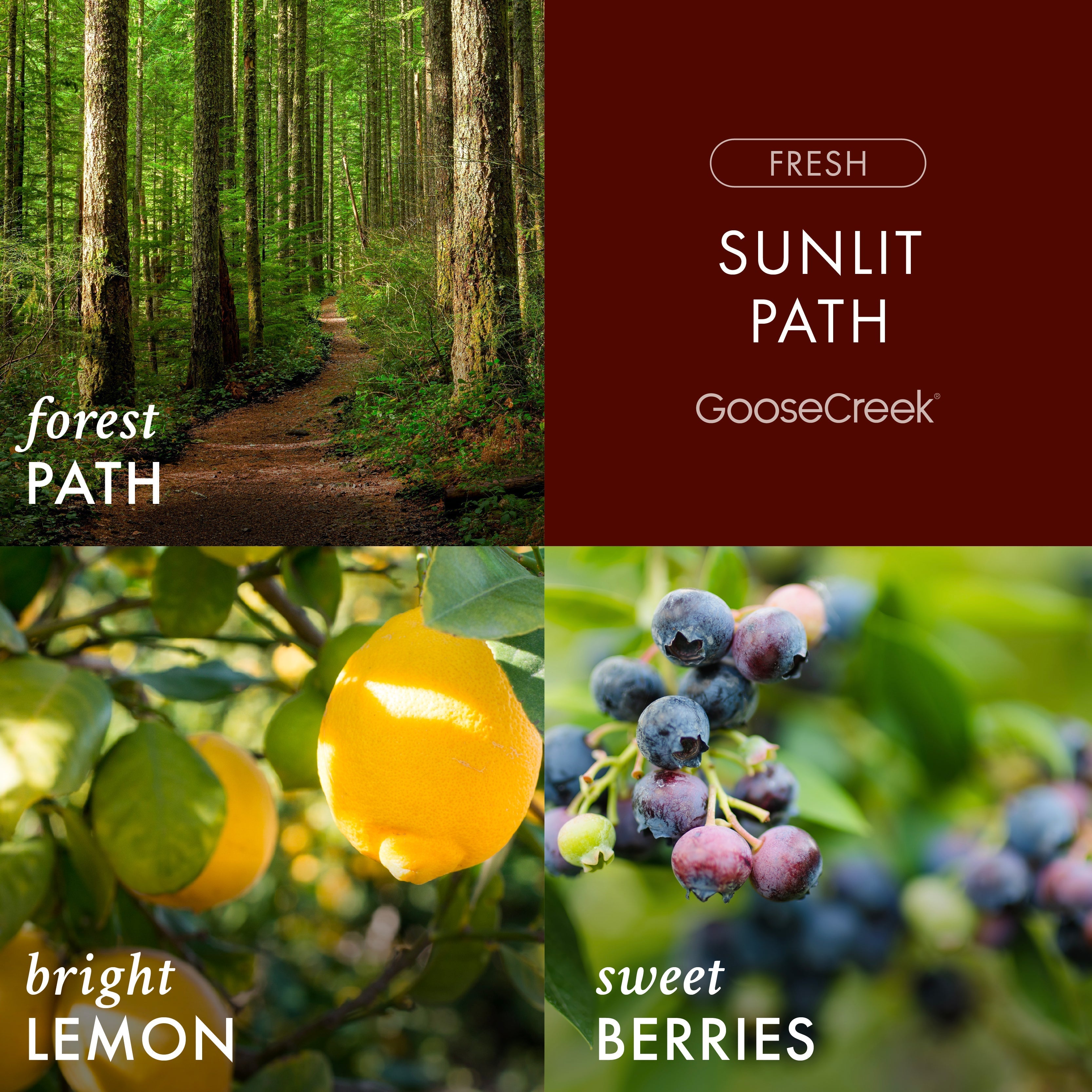 Sunlit Path 3-Wick Candle