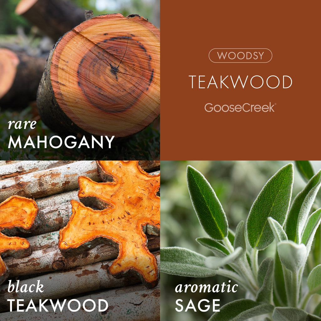 Teakwood Odor Eliminating Plug-in Refill