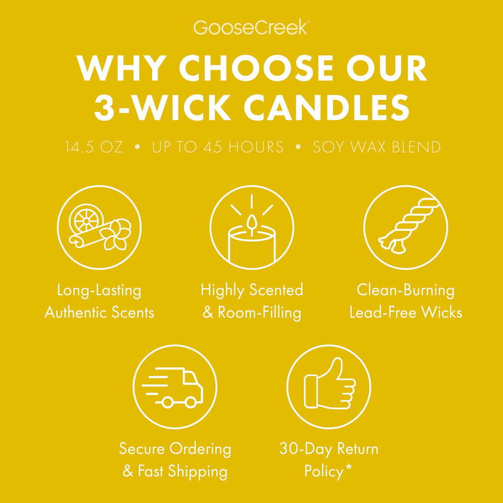 The Wild Thornberry's Nickelodeon 3-Wick Candle
